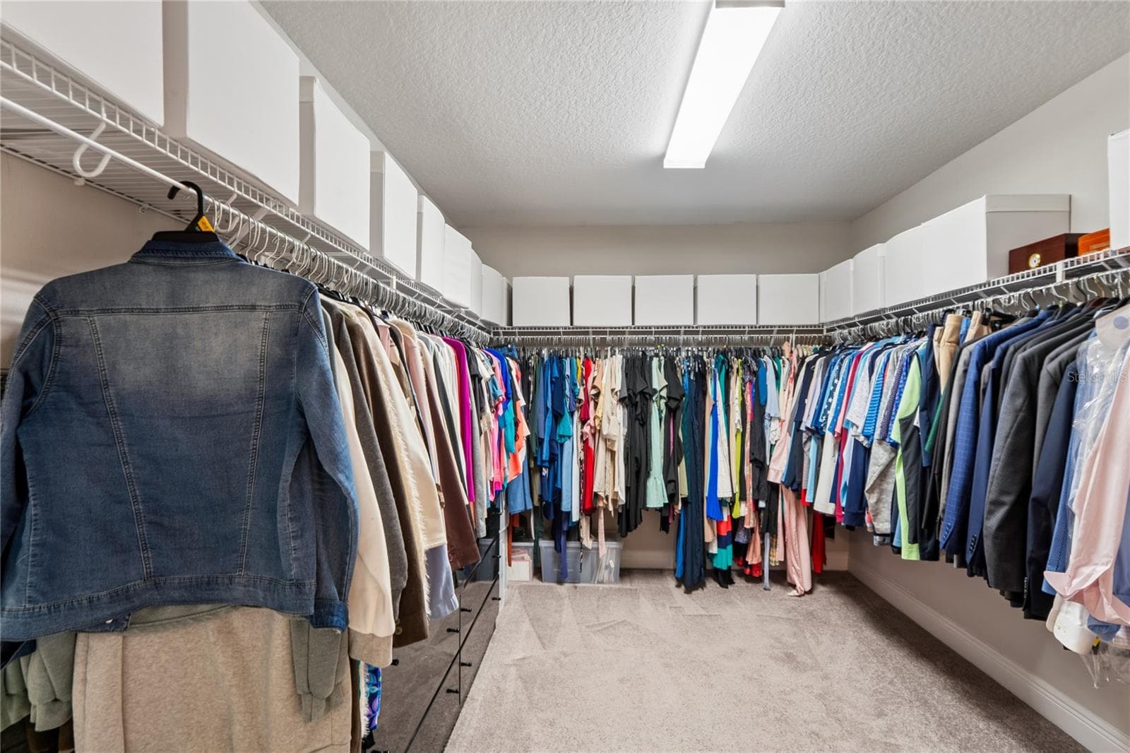 Owner's Walk-In Closet - 4124 CADENCE LOOP, LAND O LAKES