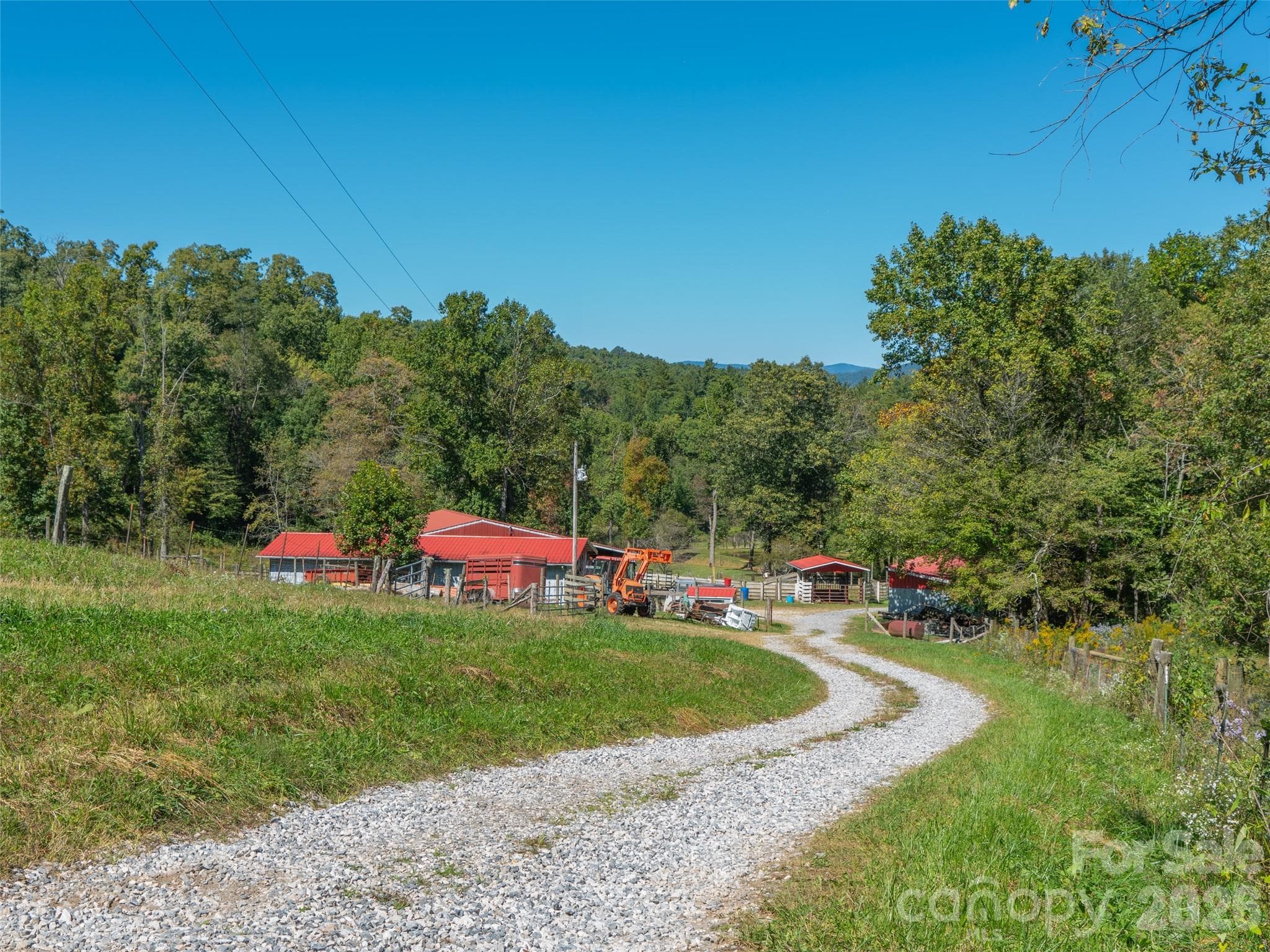 Acreage at 1050 Dale Road, Spruce Pine, photo 16 of 48