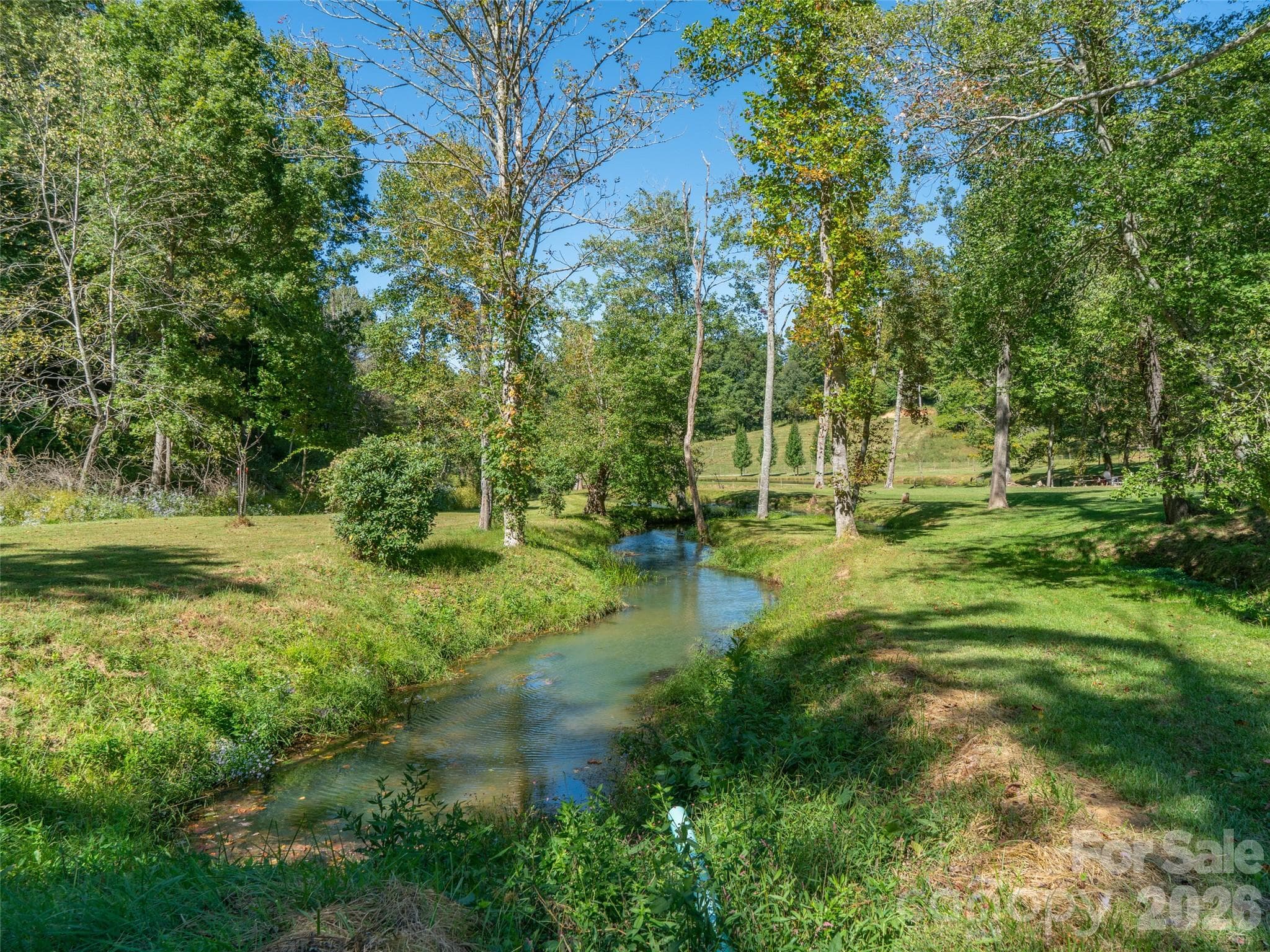 Acreage at 1050 Dale Road, Spruce Pine, photo 27 of 48