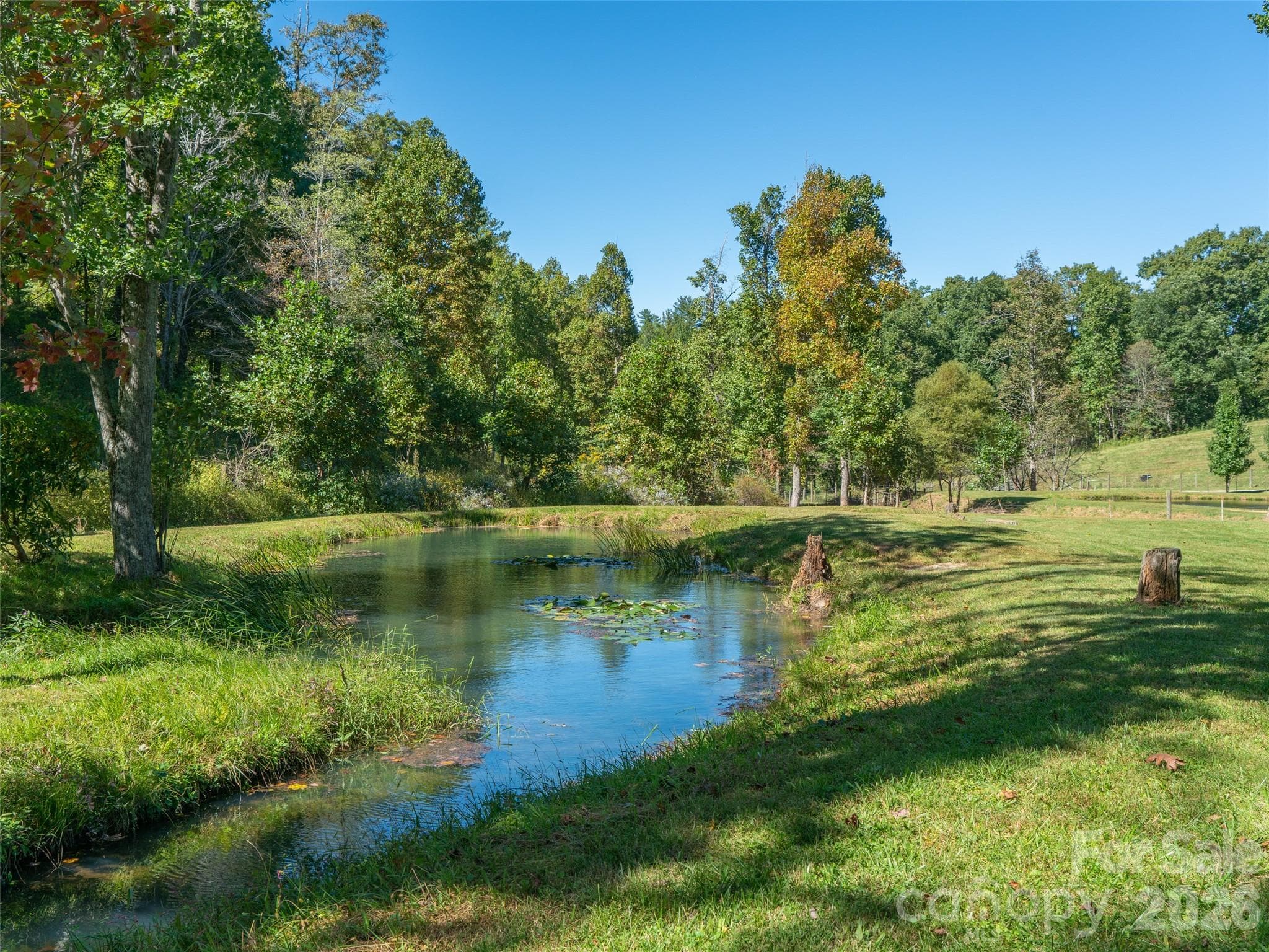 Acreage at 1050 Dale Road, Spruce Pine, photo 28 of 48