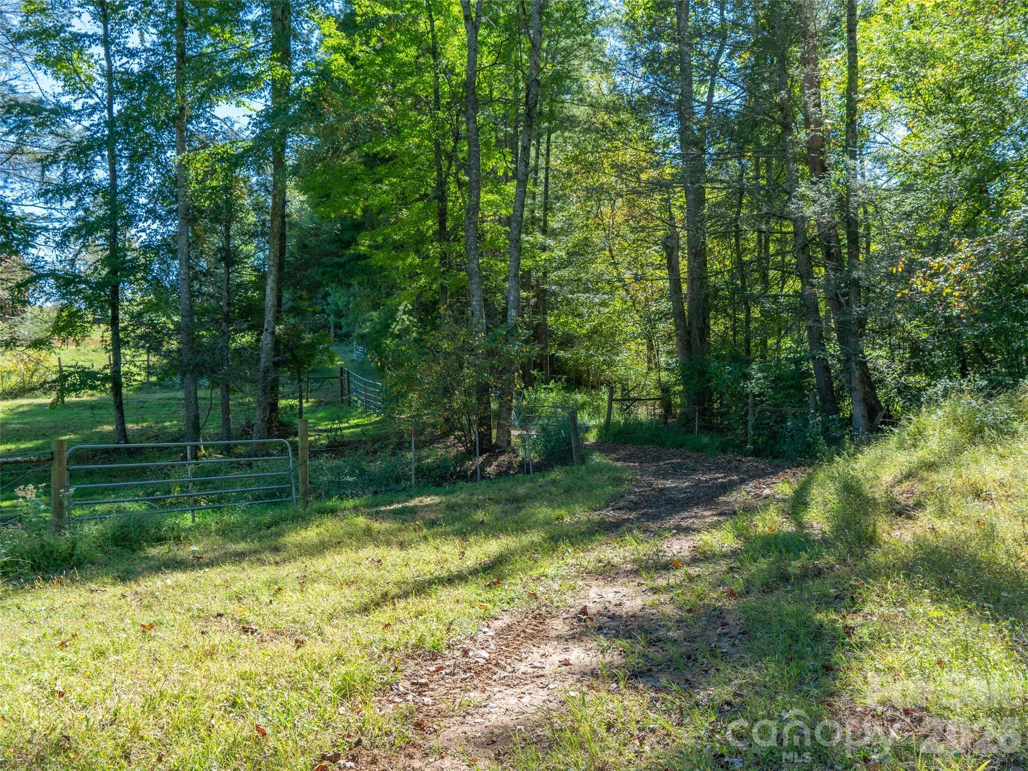 Acreage at 1050 Dale Road, Spruce Pine, photo 29 of 48
