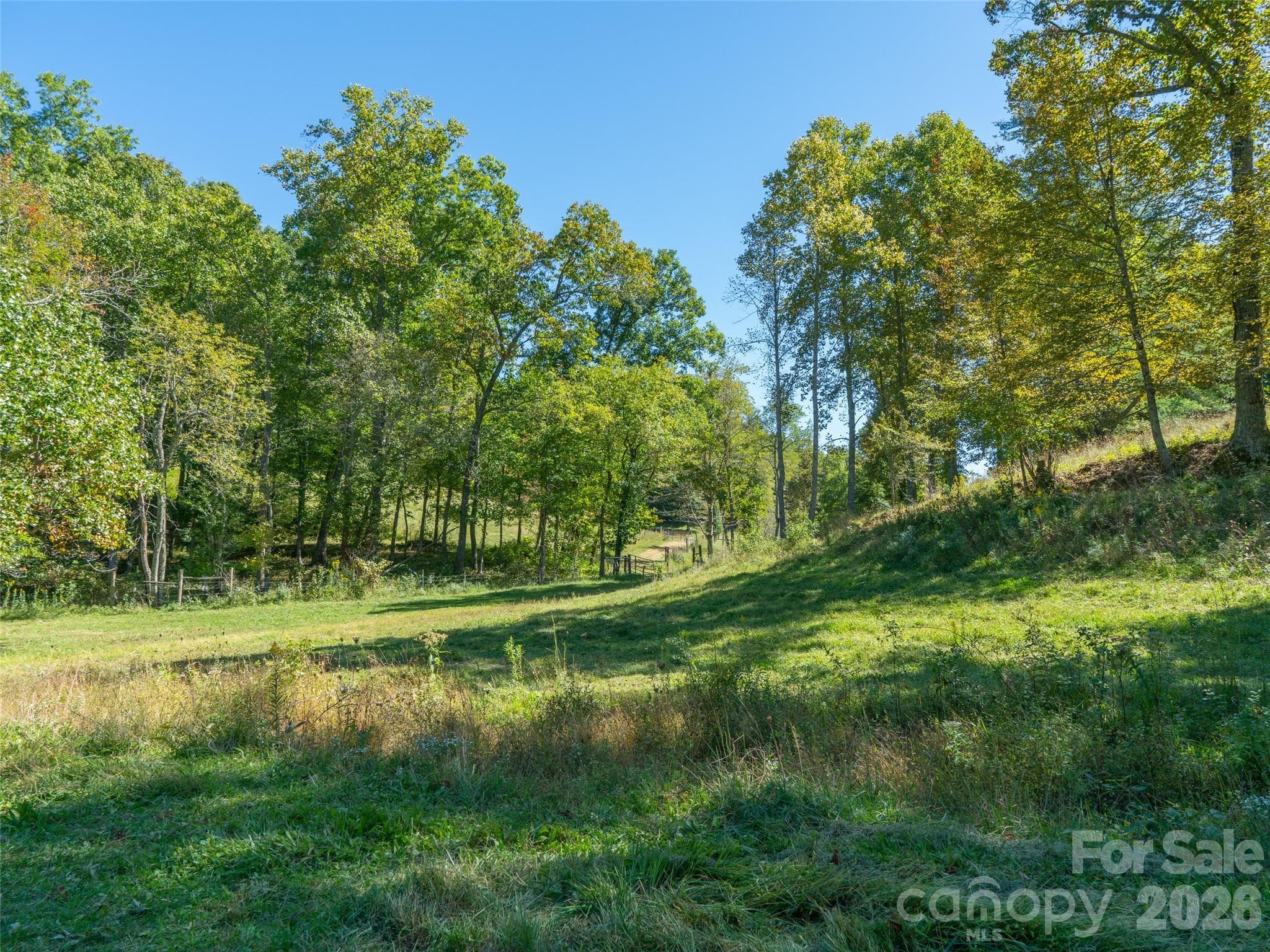 Acreage at 1050 Dale Road, Spruce Pine, photo 30 of 48