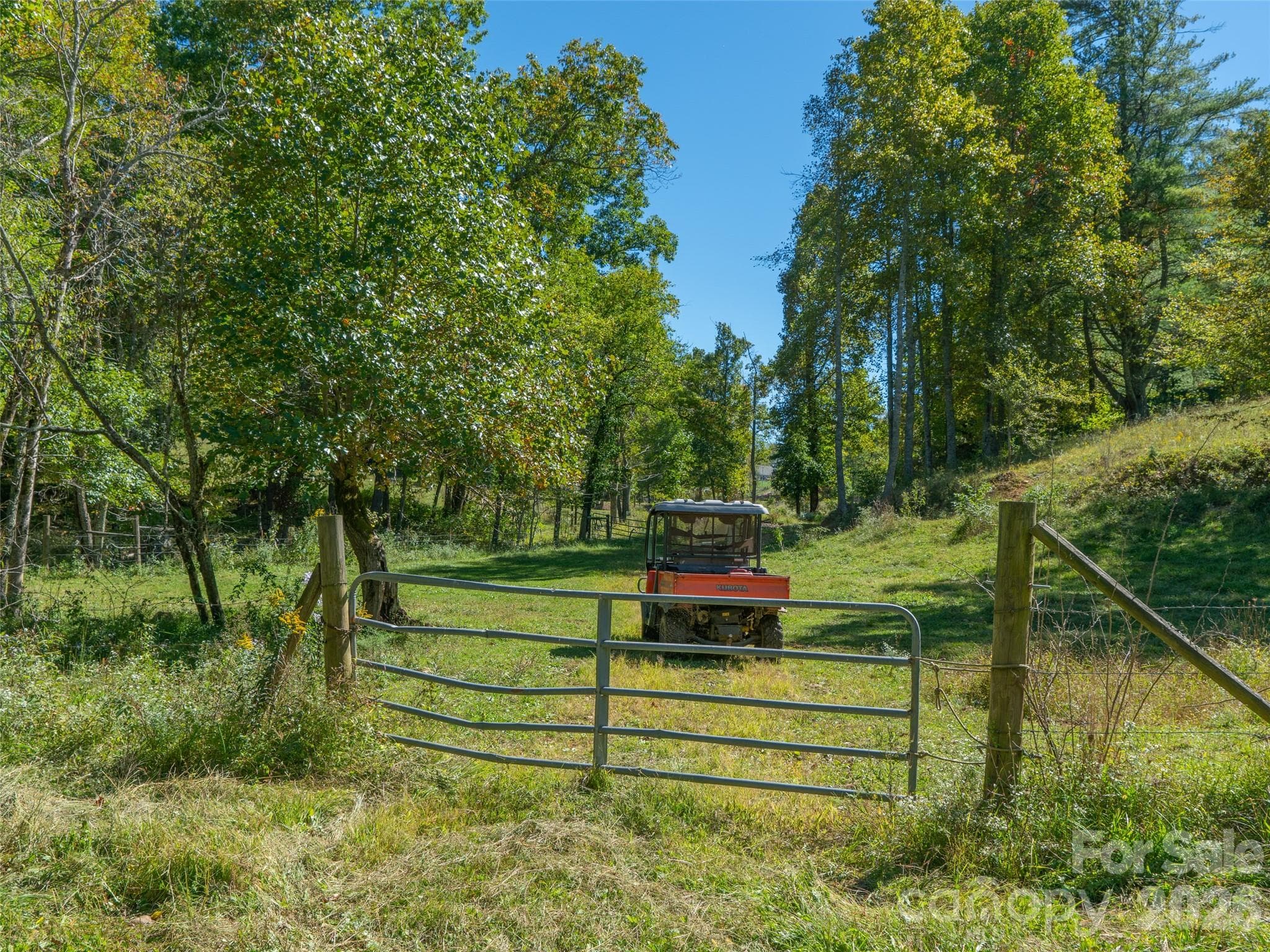 Acreage at 1050 Dale Road, Spruce Pine, photo 31 of 48
