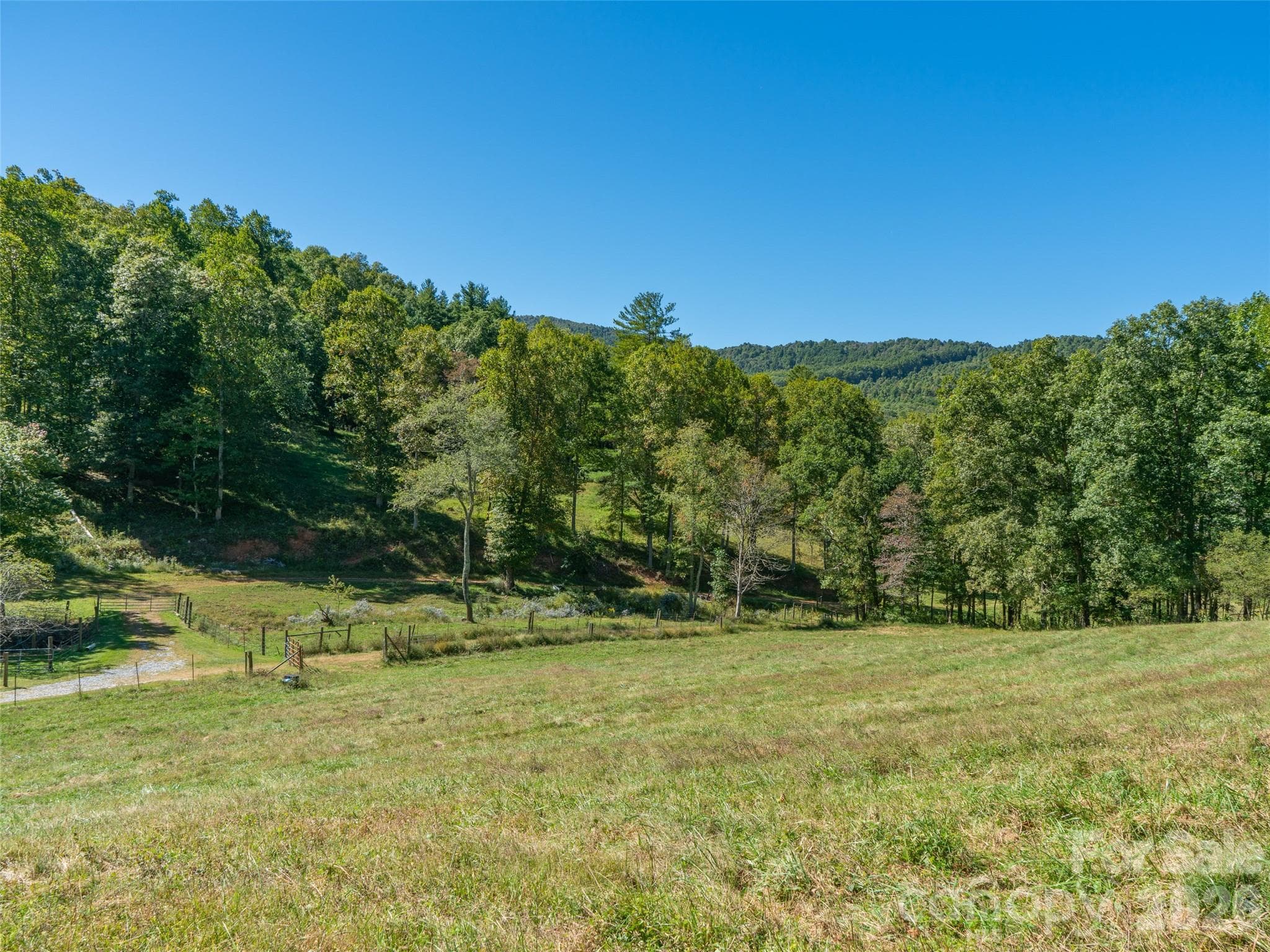 Acreage at 1050 Dale Road, Spruce Pine, photo 33 of 48