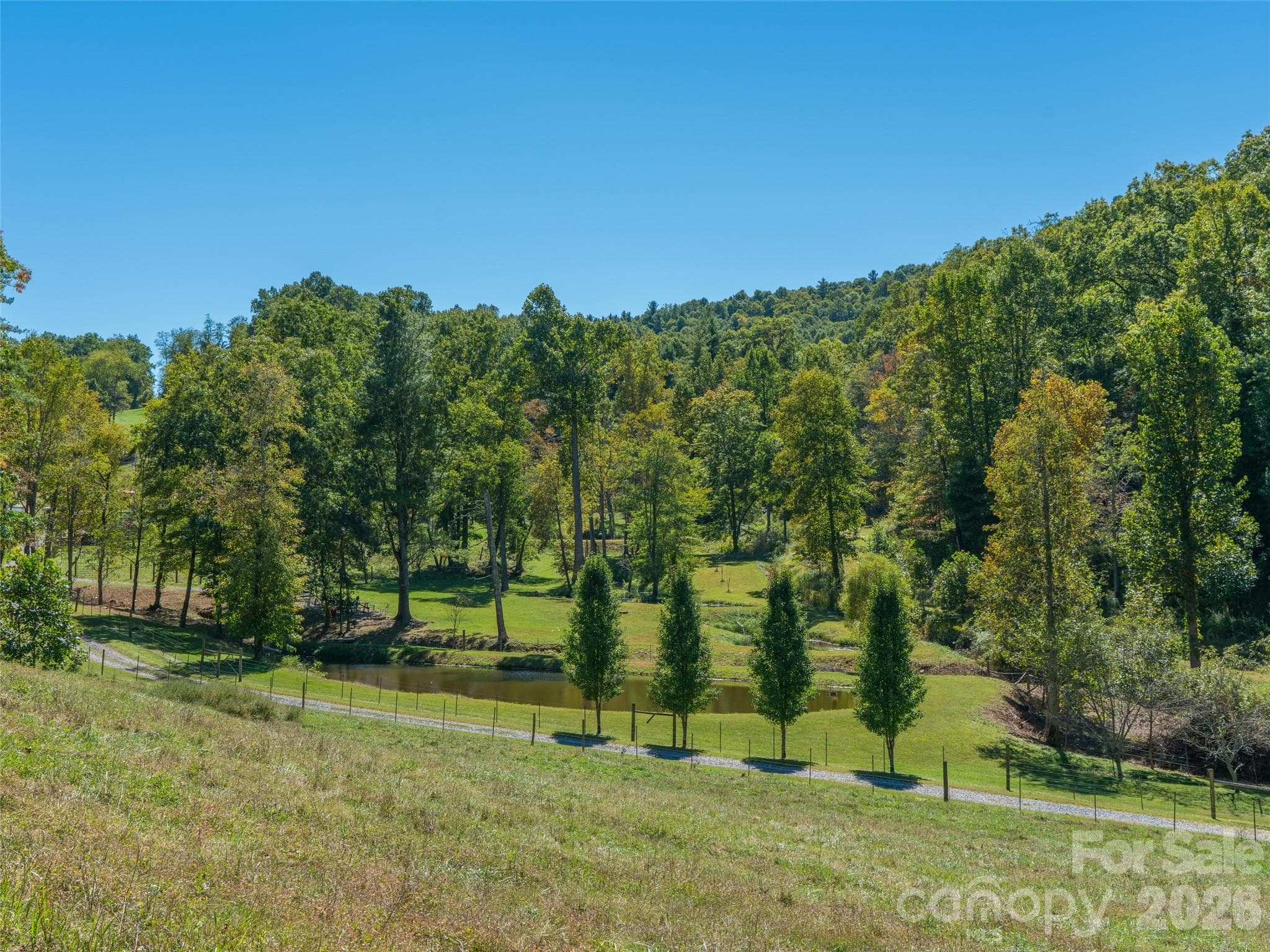 Acreage at 1050 Dale Road, Spruce Pine, photo 34 of 48