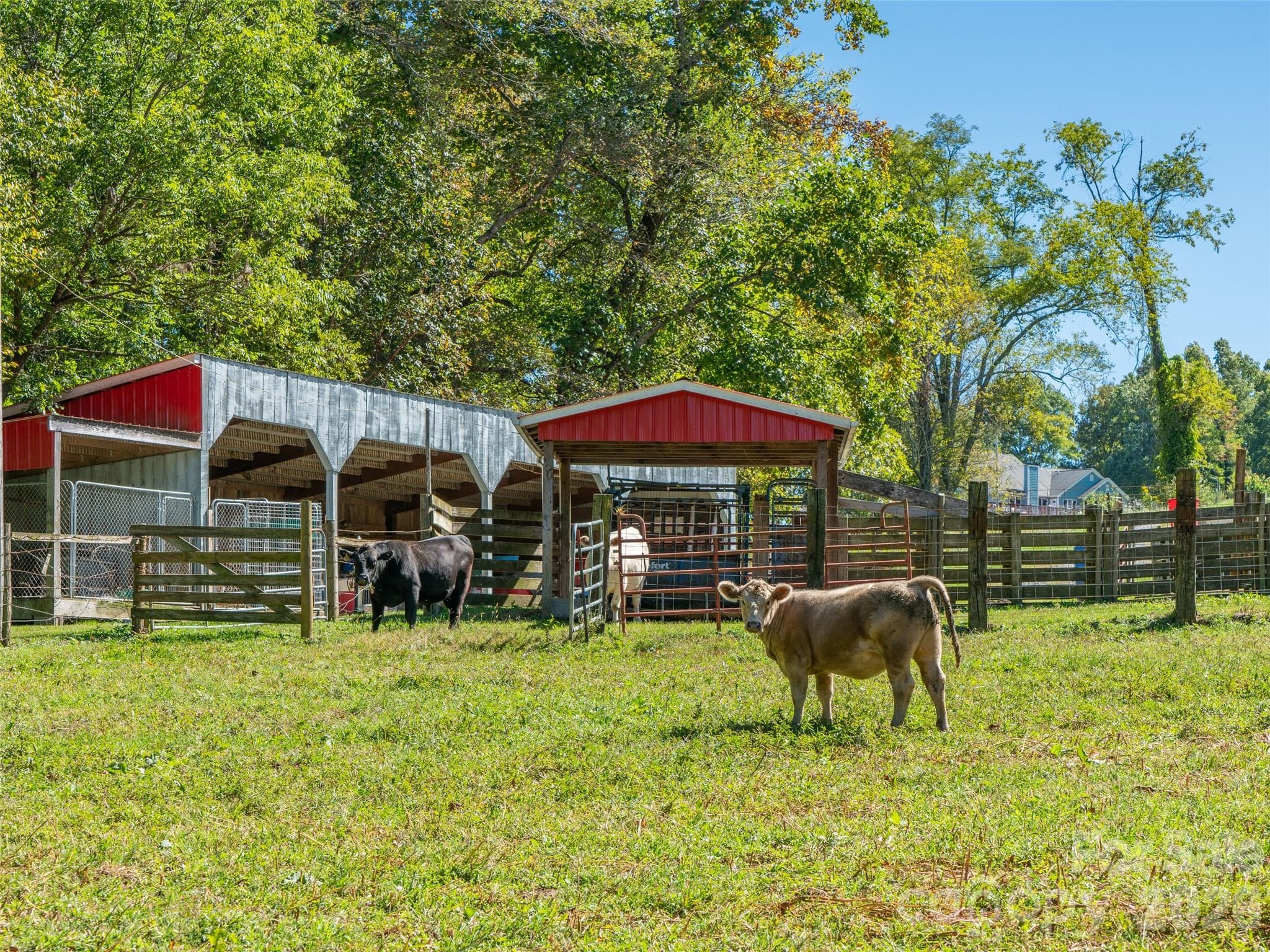 Acreage at 1050 Dale Road, Spruce Pine, photo 39 of 48