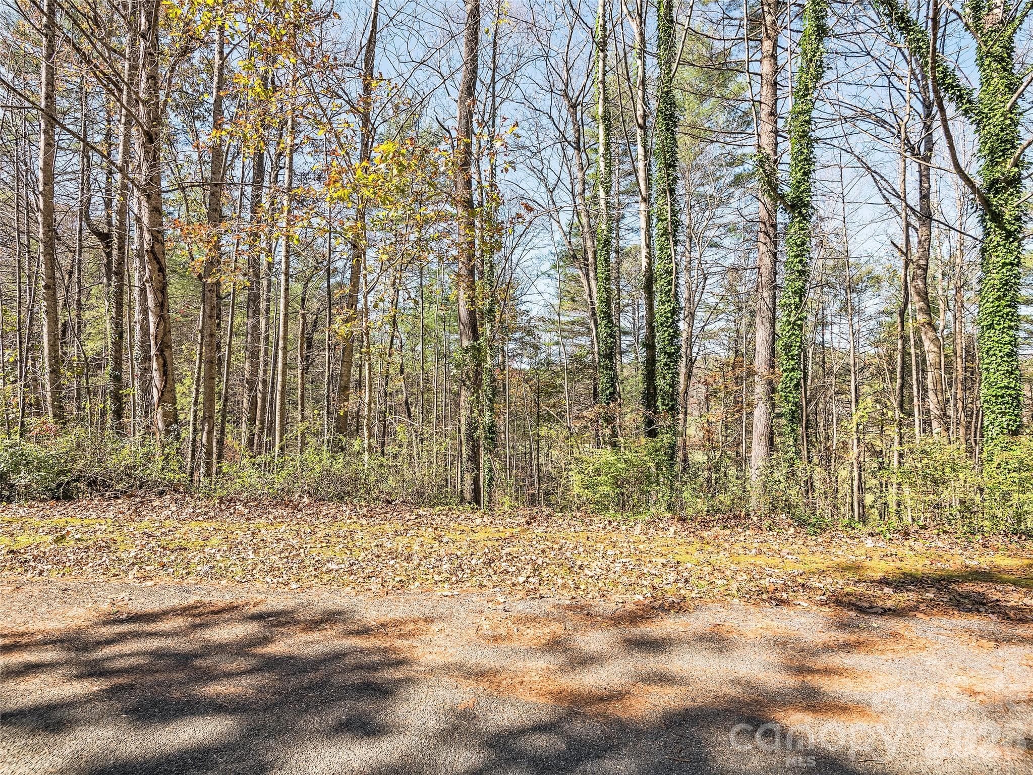 Lot at Hendersonville, photo 6 of 14