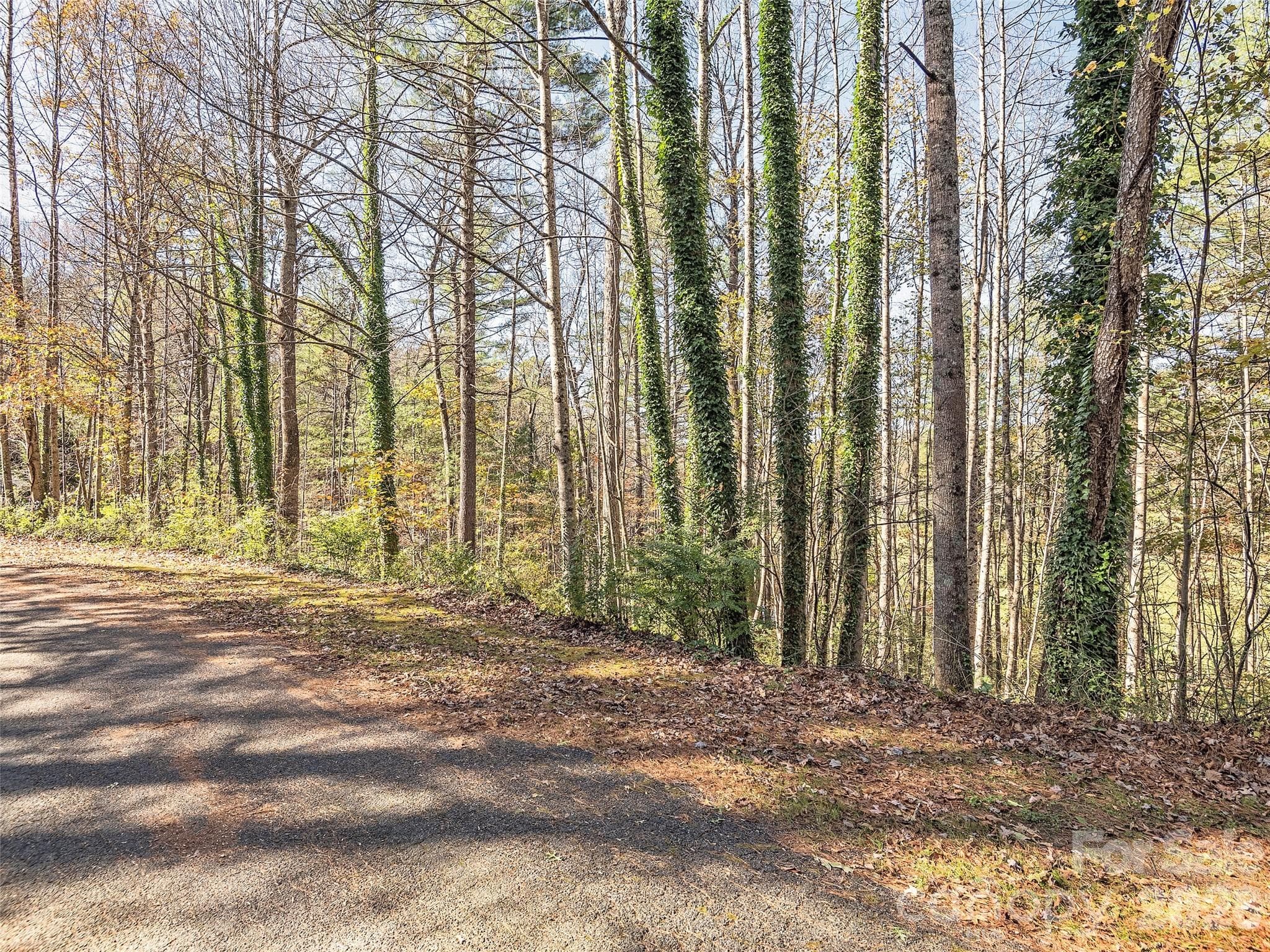 Lot at Hendersonville, photo 8 of 14