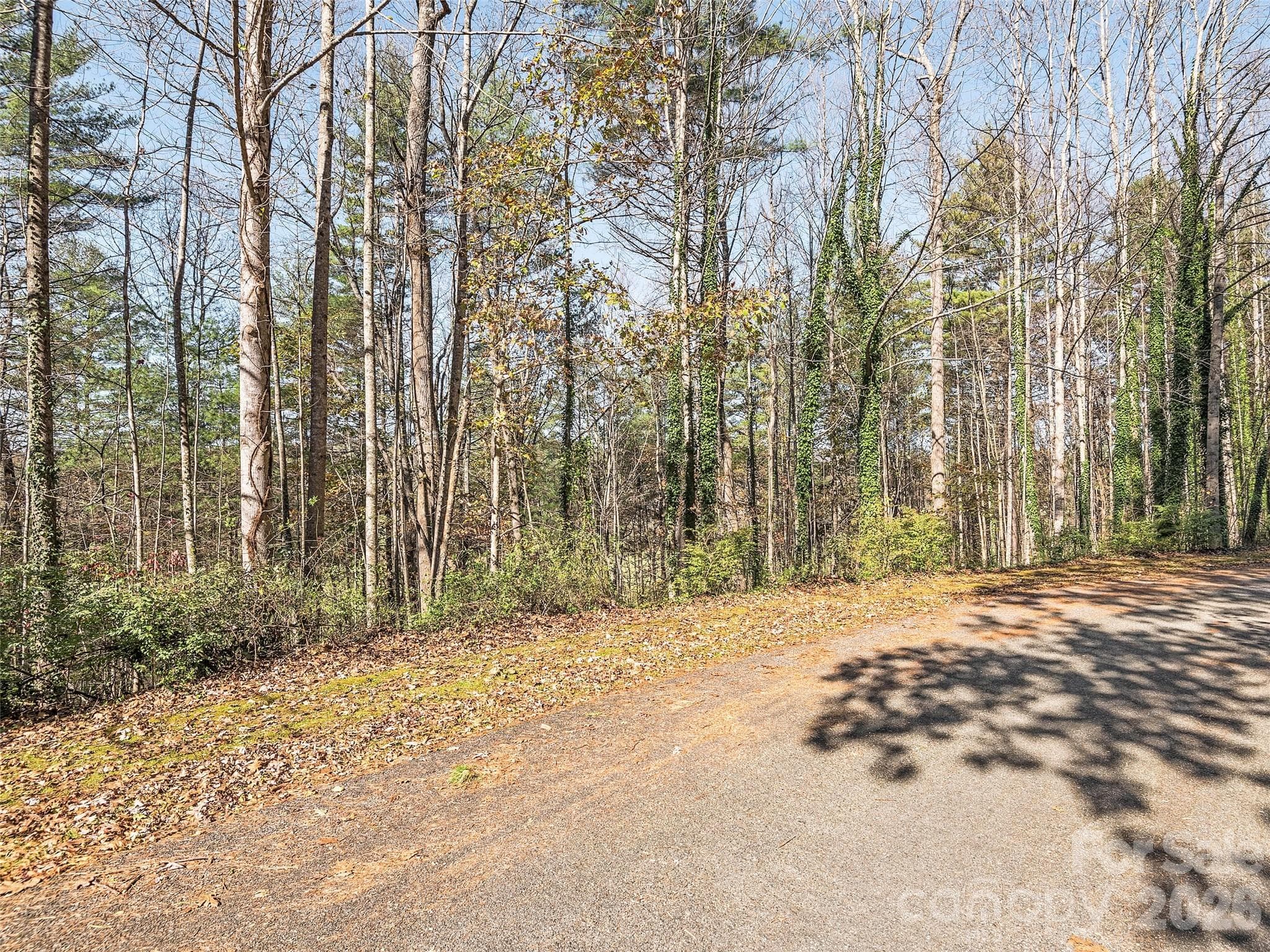 Lot at Hendersonville, photo 9 of 14