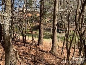 Lot at Brevard, photo 3 of 5