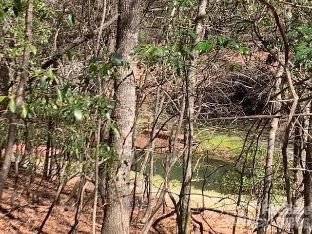 Lot at Brevard, photo 4 of 5