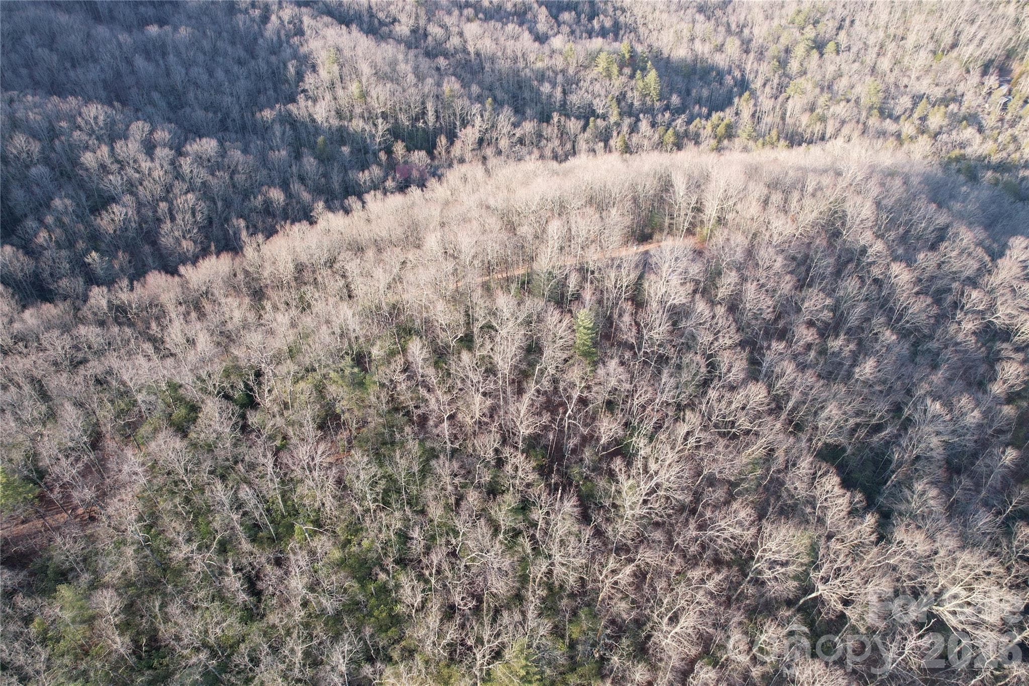 Lot at Brevard, photo 18 of 19