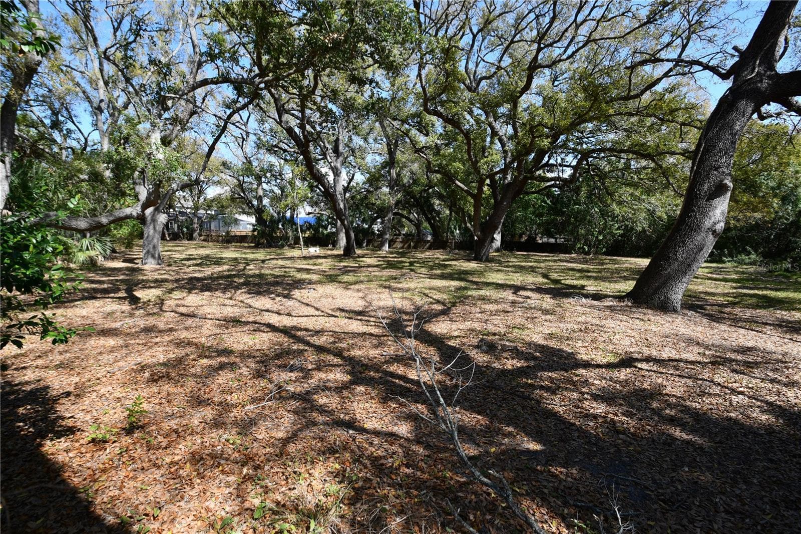 Single Family Residence at 8020 INTERBAY BLVD, TAMPA, photo 24 of 54