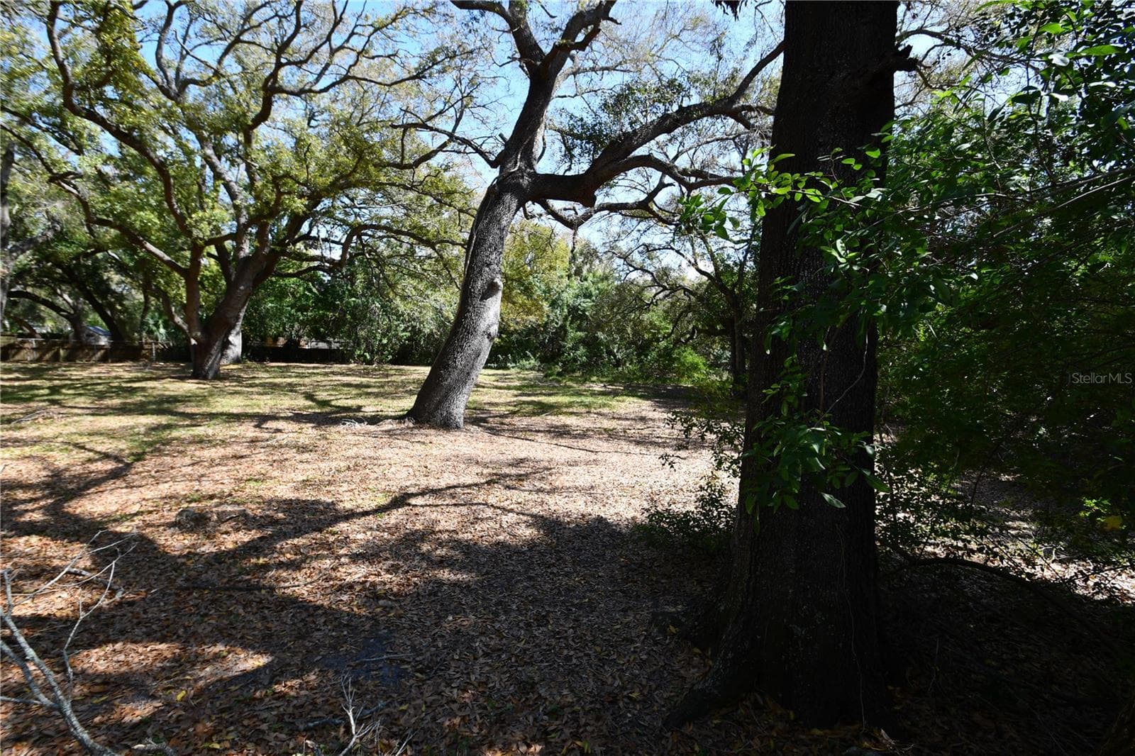 Land at 8020 INTERBAY BLVD, TAMPA, photo 22 of 54