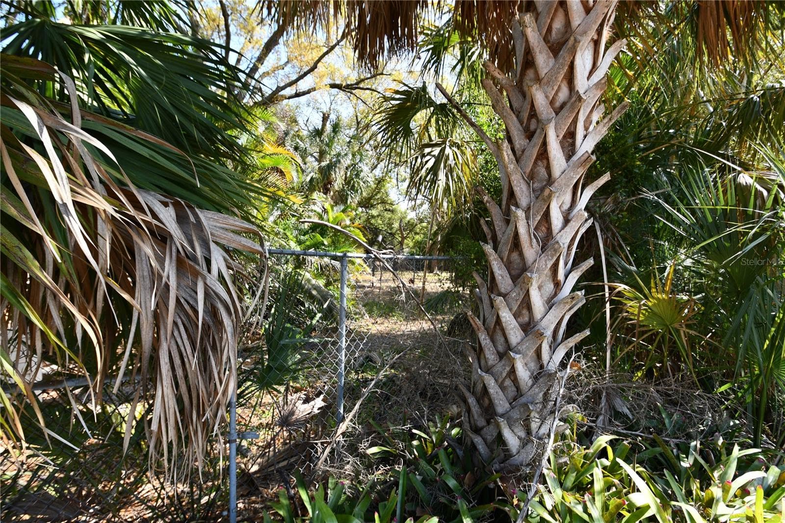 Land at 8020 INTERBAY BLVD, TAMPA, photo 34 of 54