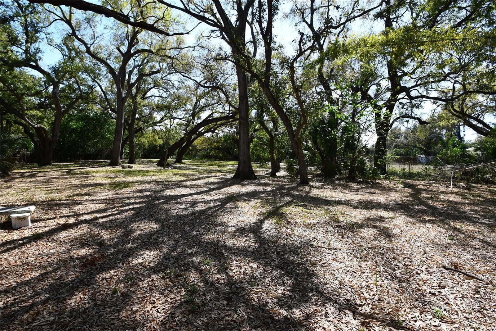 Land at 8020 INTERBAY BLVD, TAMPA, photo 41 of 54