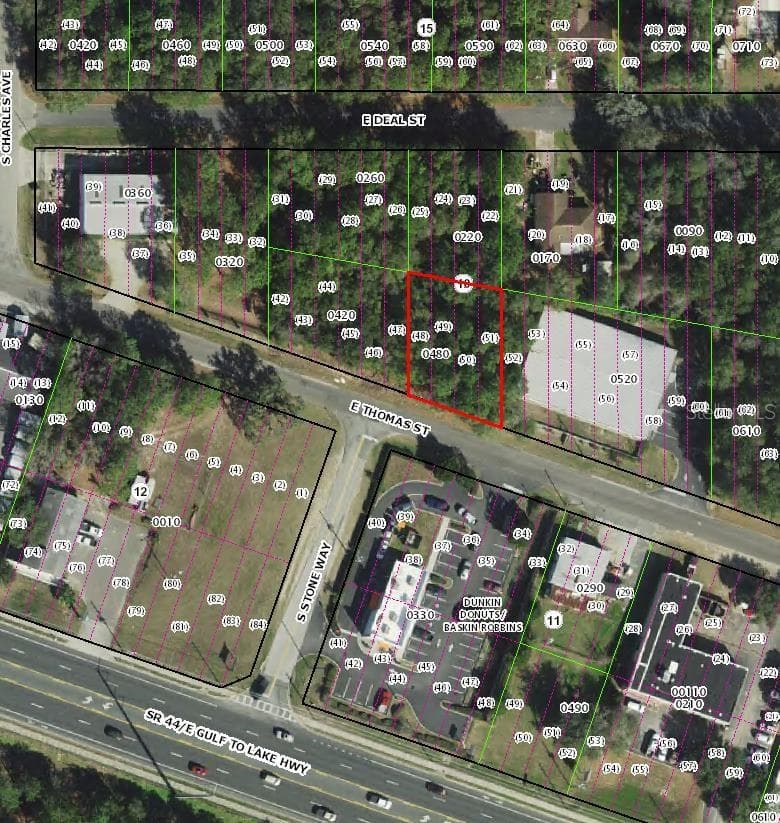 Land at 3081 E THOMAS ST, INVERNESS, photo 2 of 3