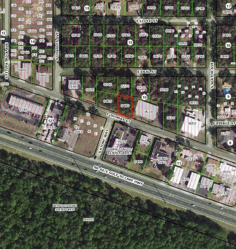 Land at 3081 E THOMAS ST, INVERNESS, photo 3 of 3