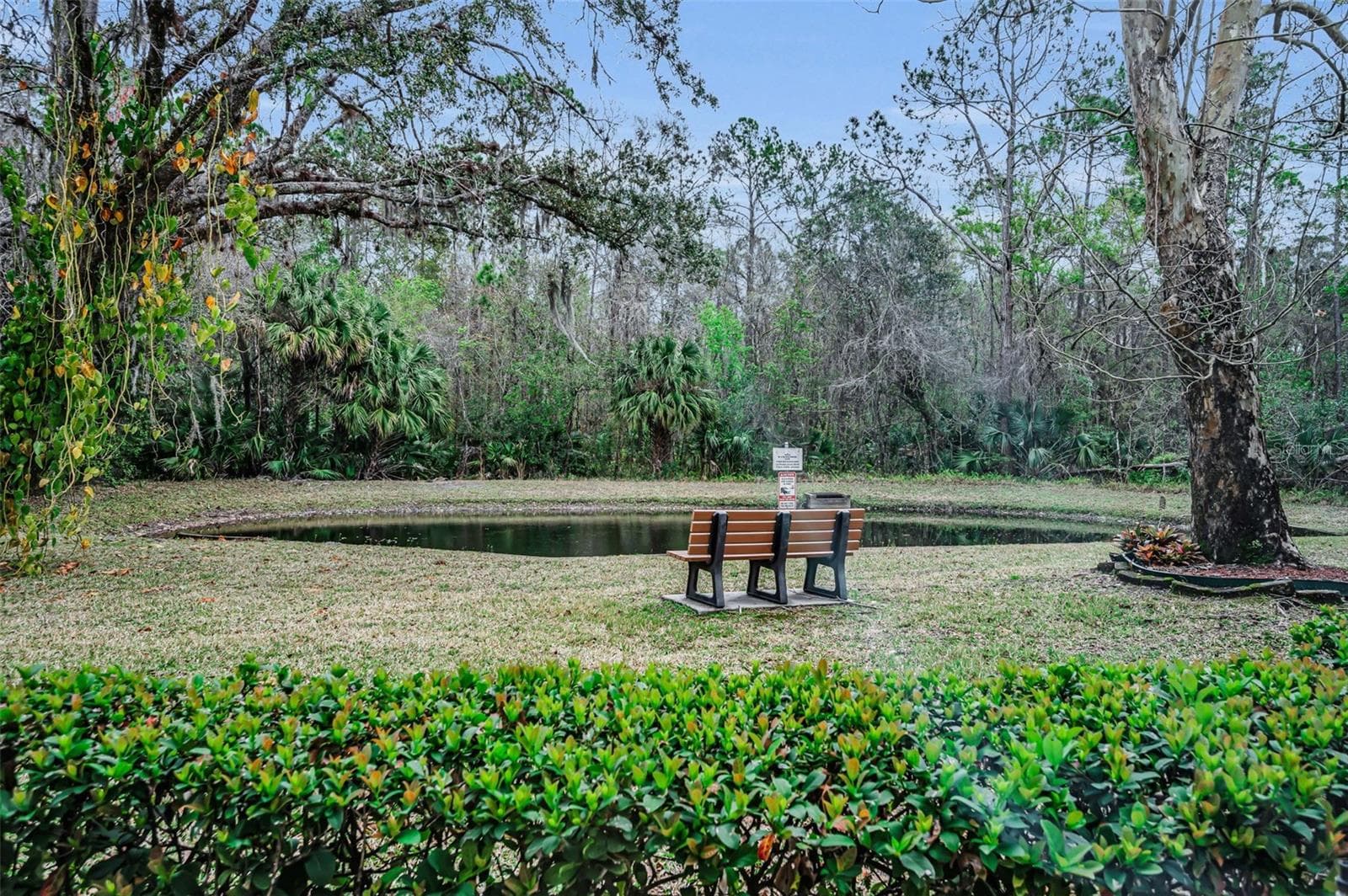 View from the primary bedroom - 3232 LAKE PINE WAY E #C1, TARPON SPRINGS