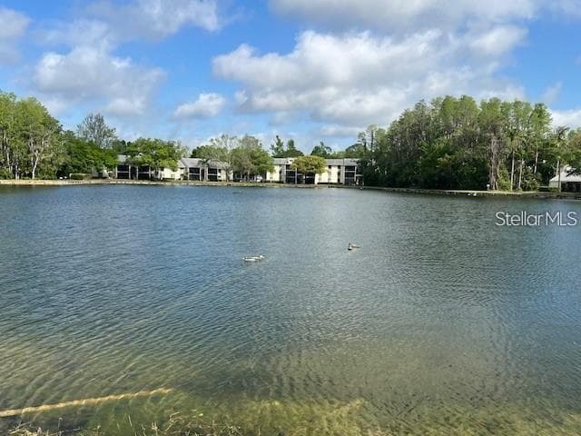 Condominium at 3232 LAKE PINE WAY E #C1, TARPON SPRINGS, photo 27 of 29