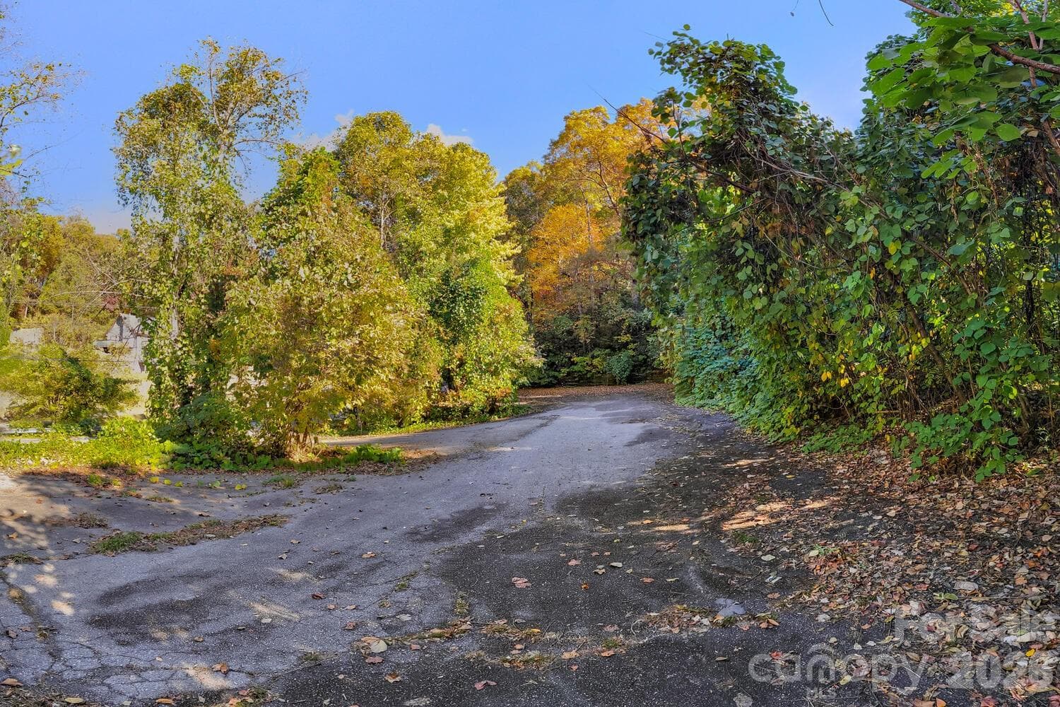 Acreage at 0 Waterside Drive, Lake Lure, photo 2 of 19