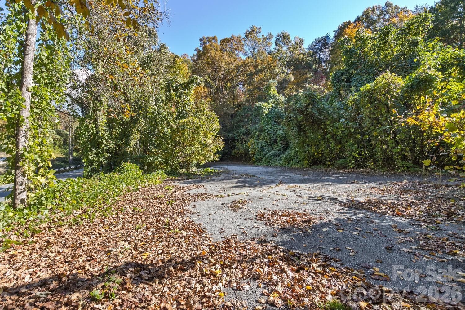 Acreage at 0 Waterside Drive, Lake Lure, photo 3 of 19