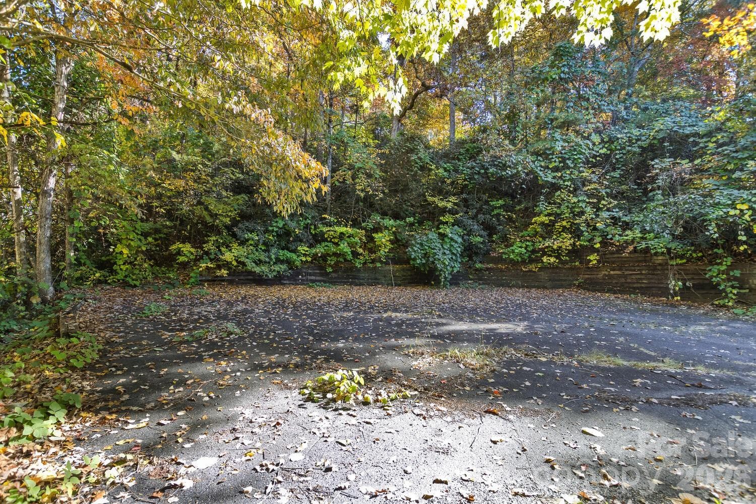 Acreage at 0 Waterside Drive, Lake Lure, photo 4 of 19