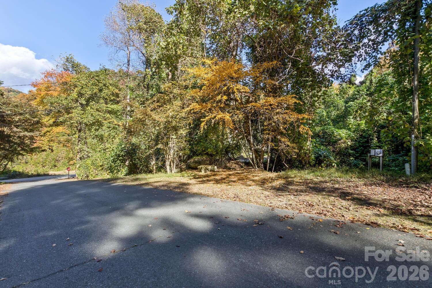 Acreage at 0 Waterside Drive, Lake Lure, photo 5 of 19