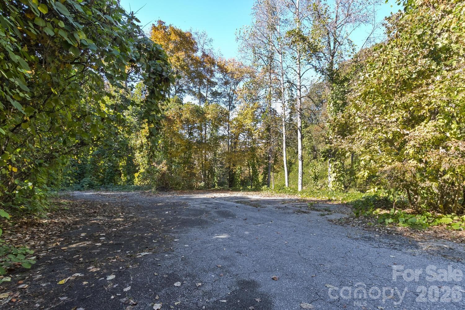 Acreage at 0 Waterside Drive, Lake Lure, photo 6 of 19