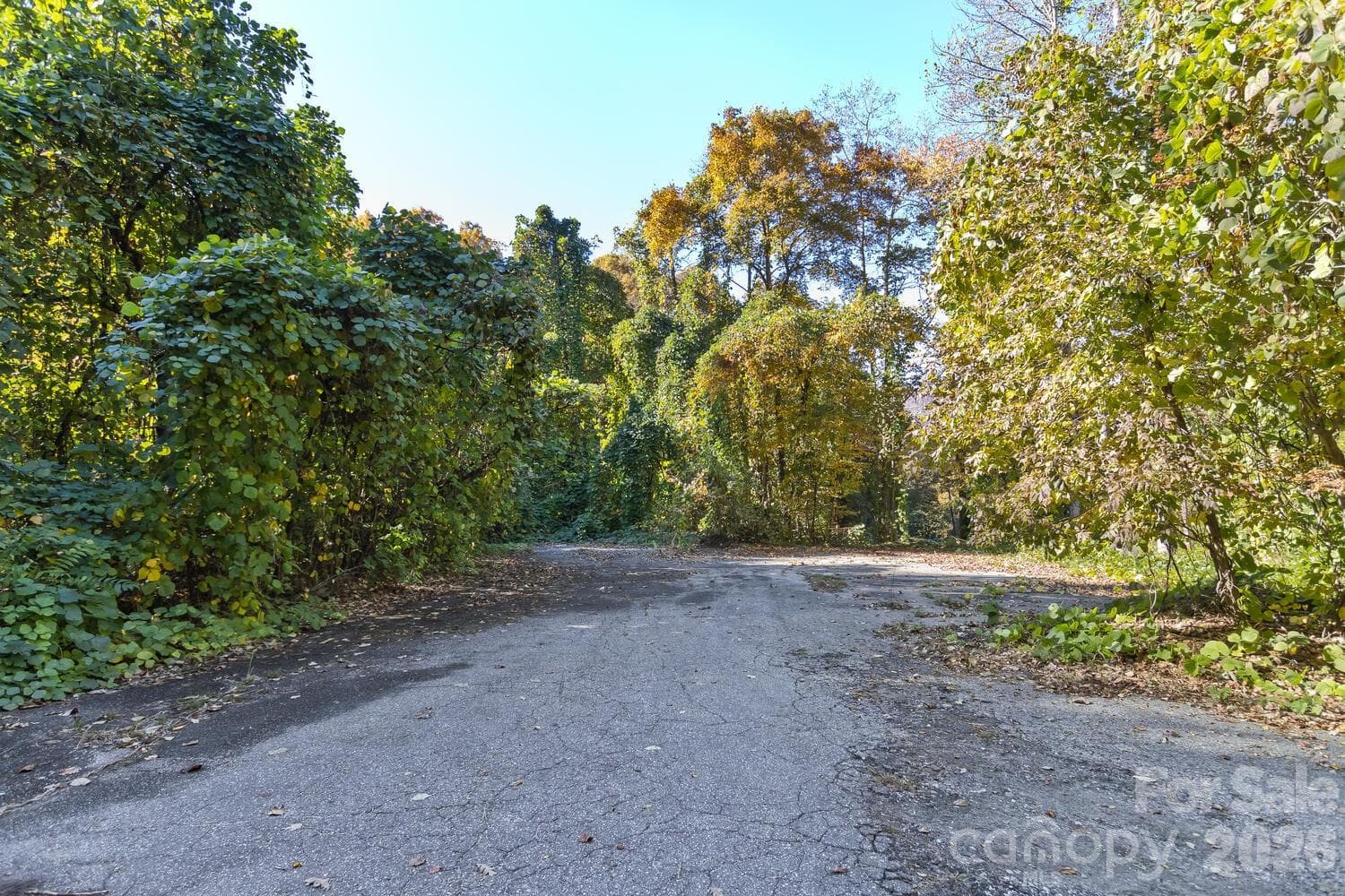 Acreage at 0 Waterside Drive, Lake Lure, photo 7 of 19