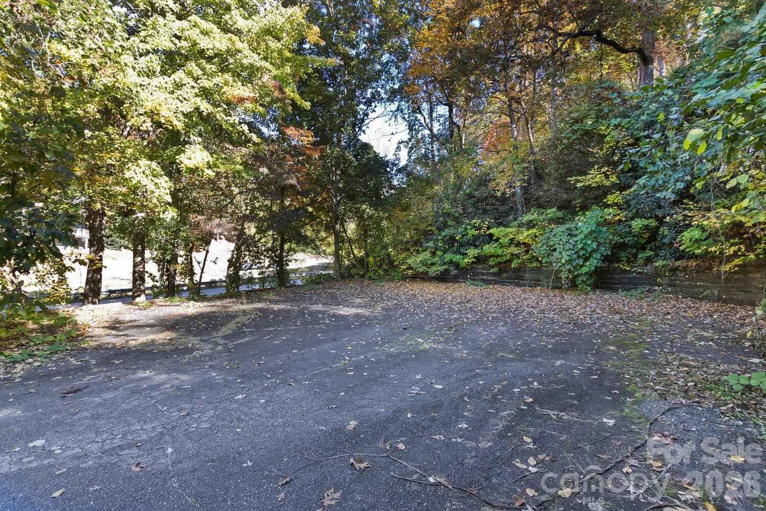 Acreage at 0 Waterside Drive, Lake Lure, photo 8 of 19