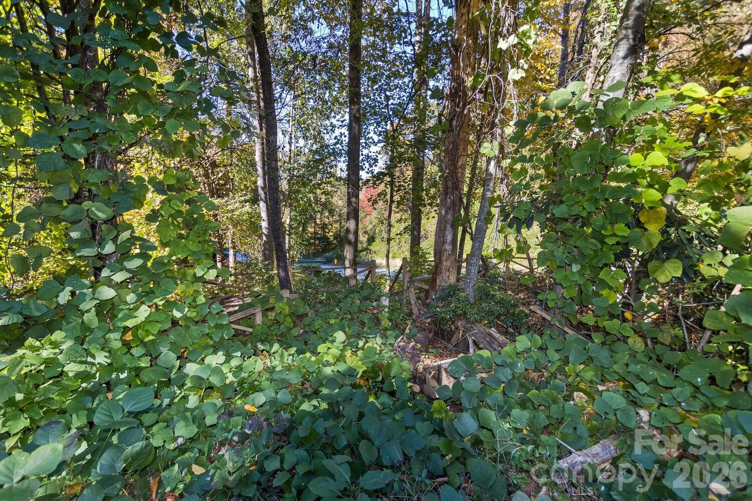 Acreage at 0 Waterside Drive, Lake Lure, photo 9 of 19