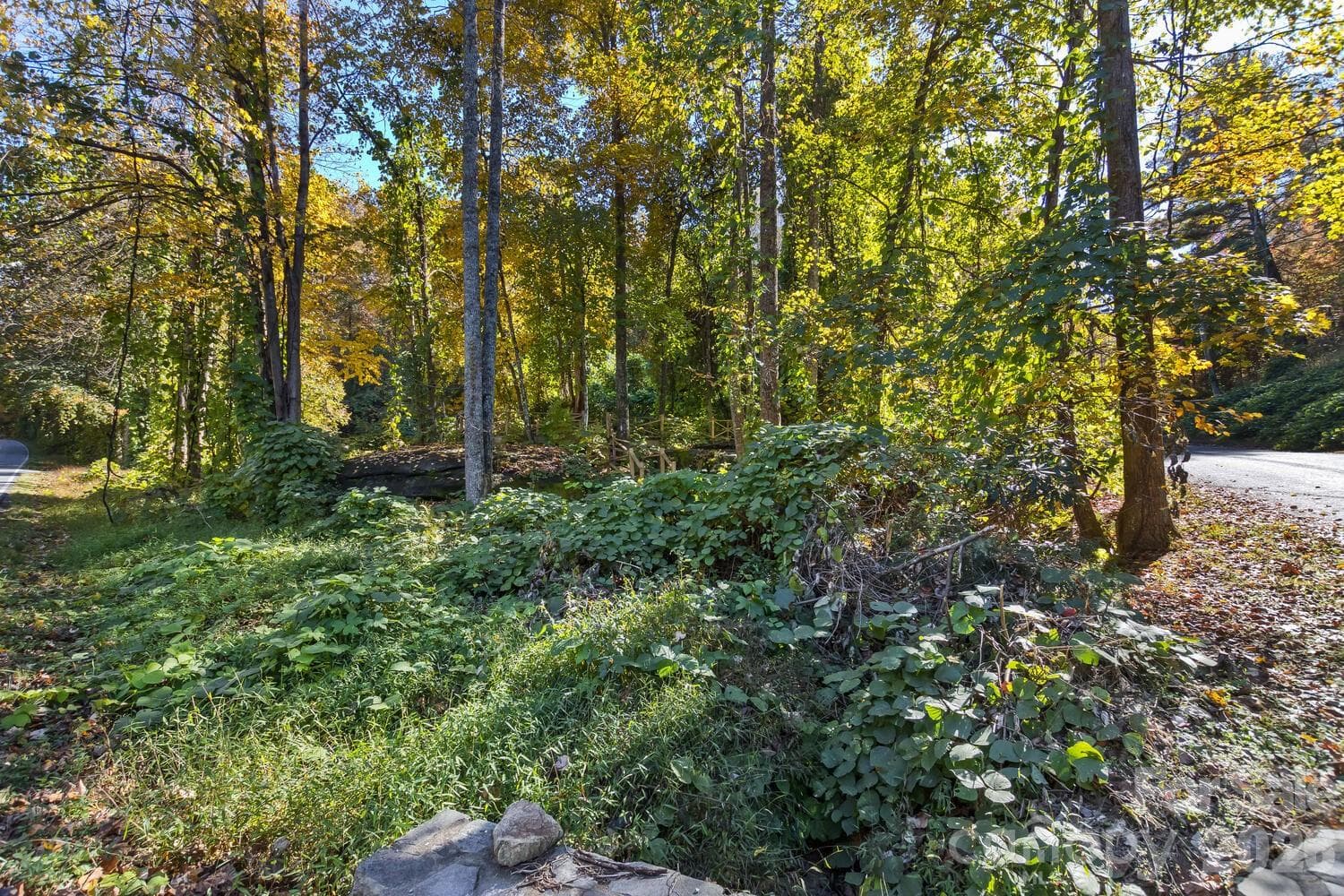 Acreage at 0 Waterside Drive, Lake Lure, photo 13 of 19