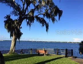 Single Family Residence at 438 LAFAYETTE BLVD, OLDSMAR, photo 50 of 67