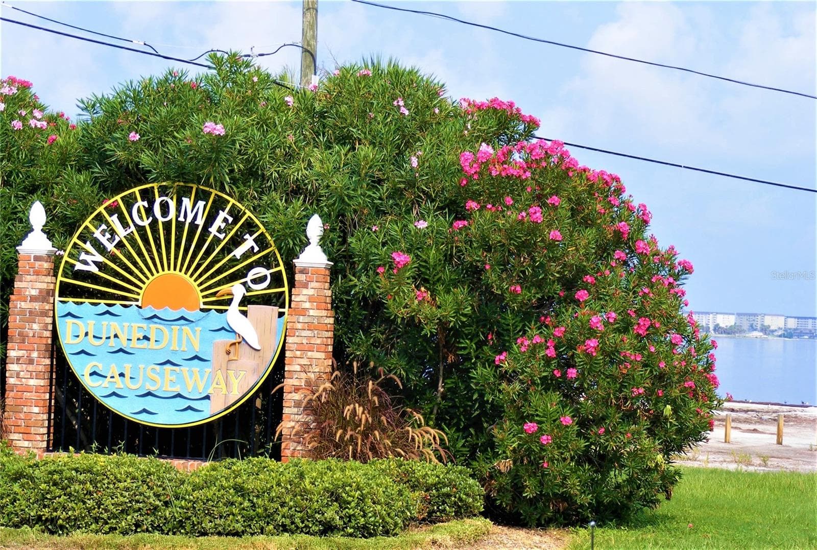 Dunedin Causeway - 438 LAFAYETTE BLVD, OLDSMAR