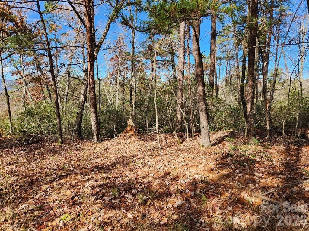 Lot - 0 Sparrows Way, Lake Lure