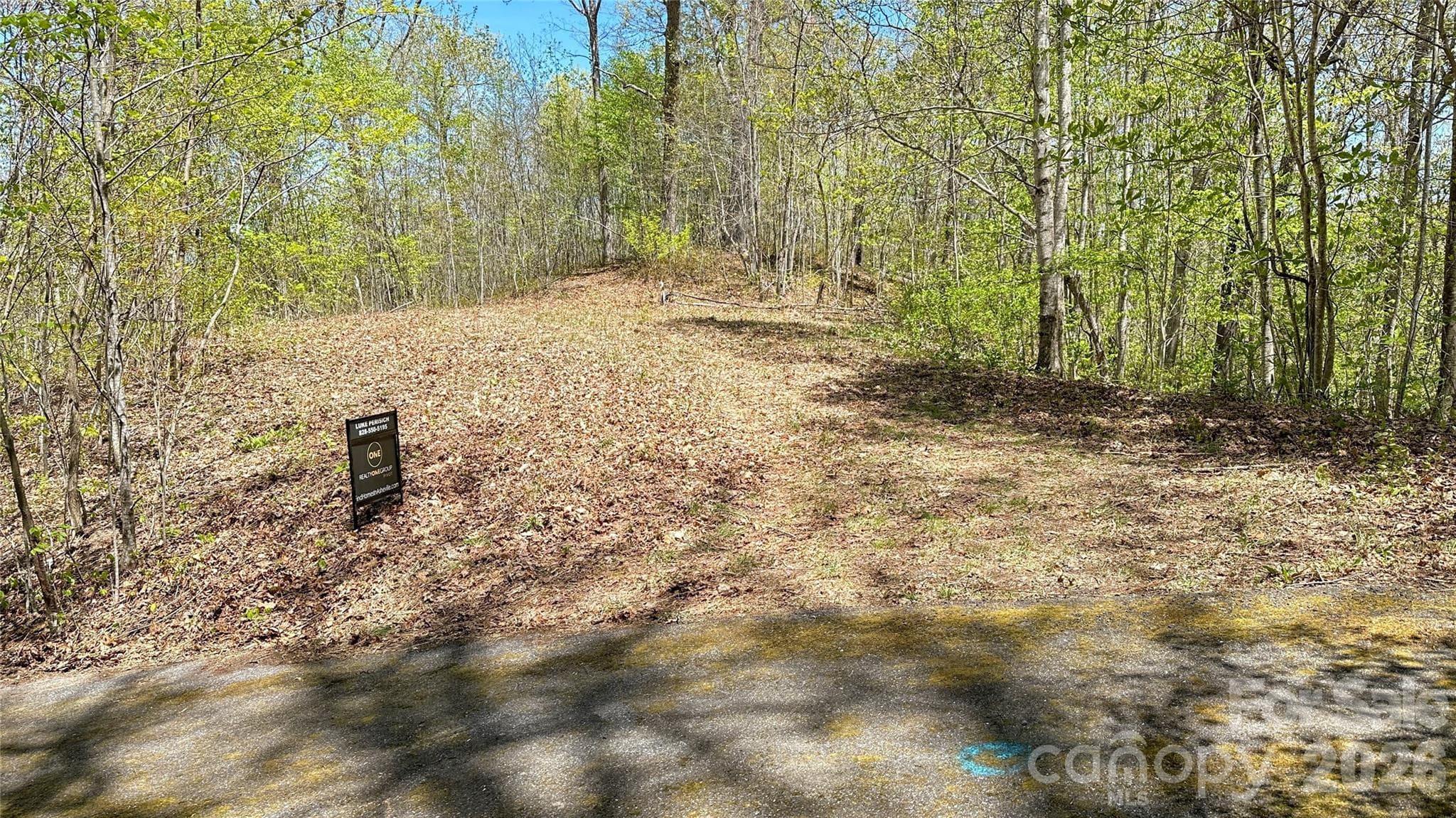 View of home site with knob for buildable area. - 0000 Oat Field Road, Tuckasegee