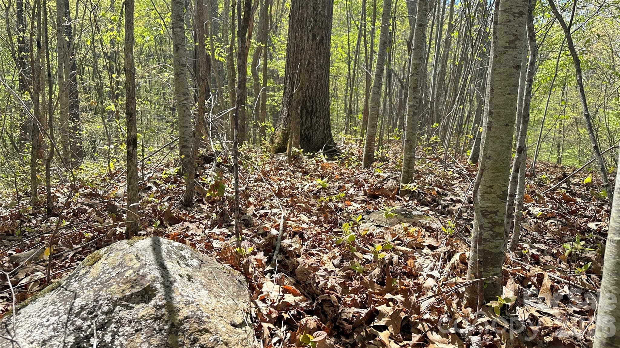 View of lot. - 0000 Oat Field Road, Tuckasegee