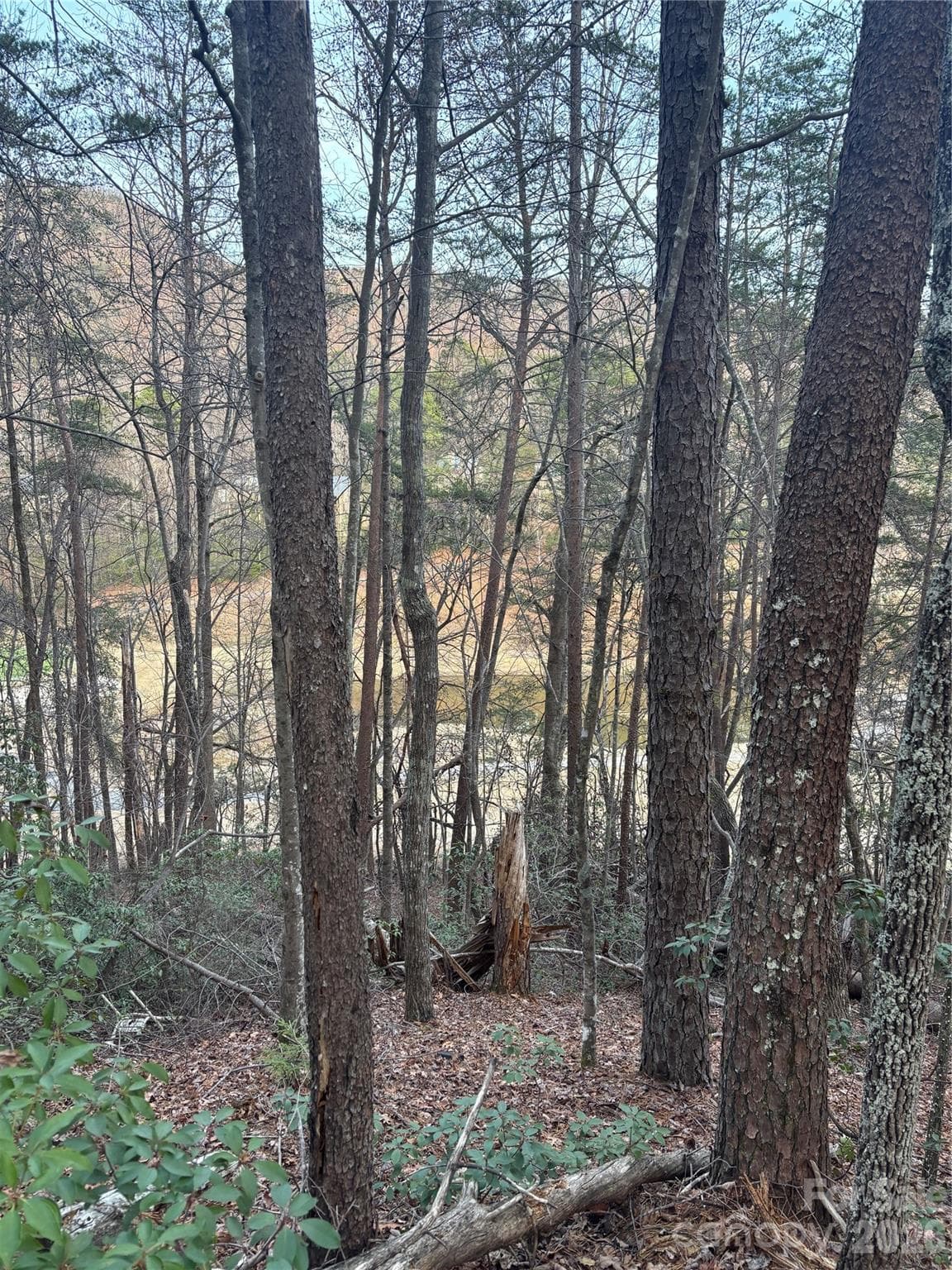Gently Sloped for easy building - Lot 20 Nicklaus Lane, Lake Lure