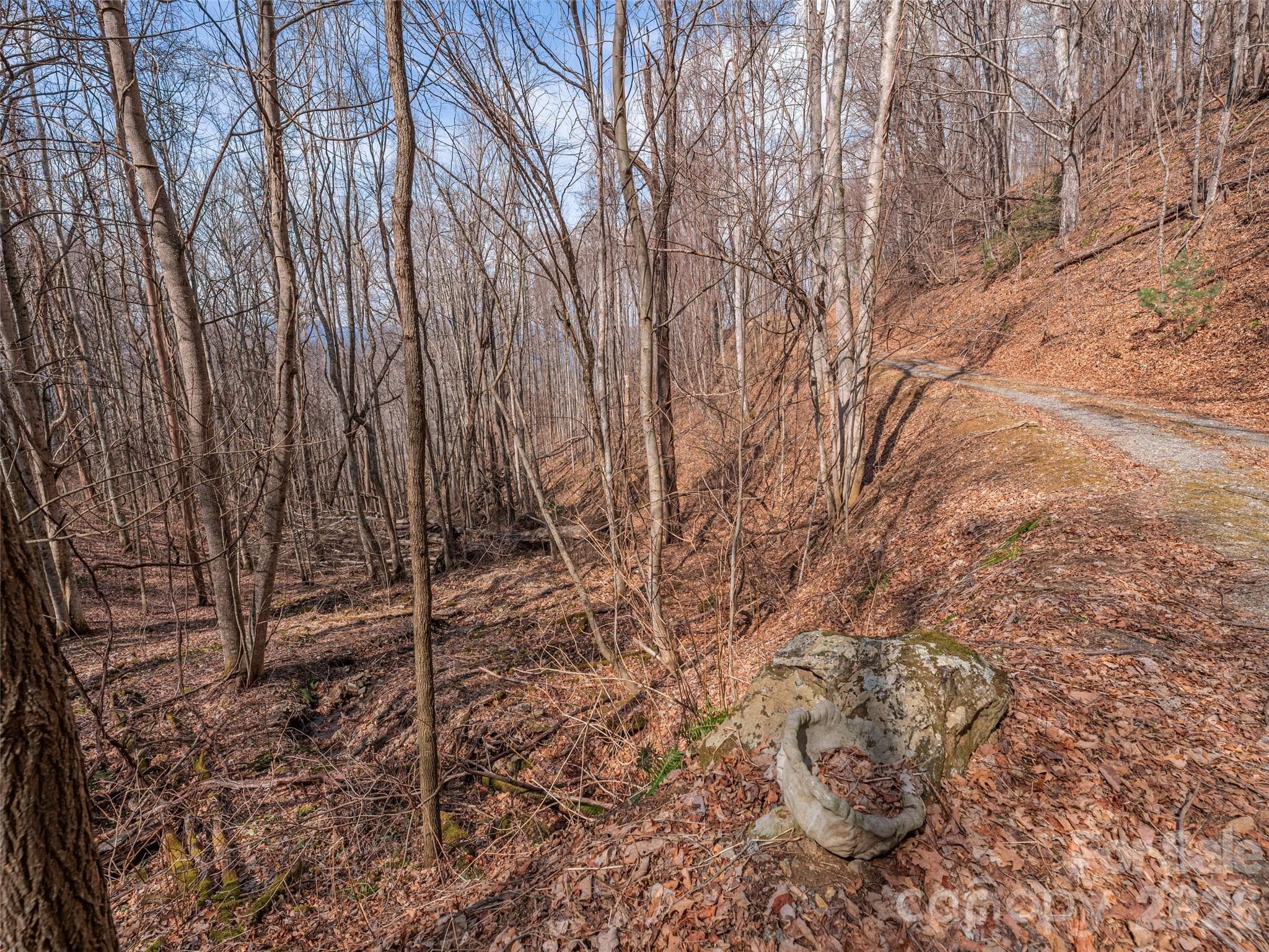 near creekbed that runs along west side of property - 399 Goodson Spring Road, Waynesville