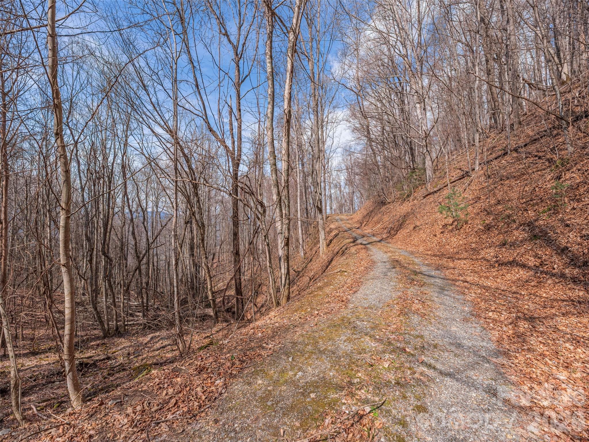 private, end-of-road location - 399 Goodson Spring Road, Waynesville