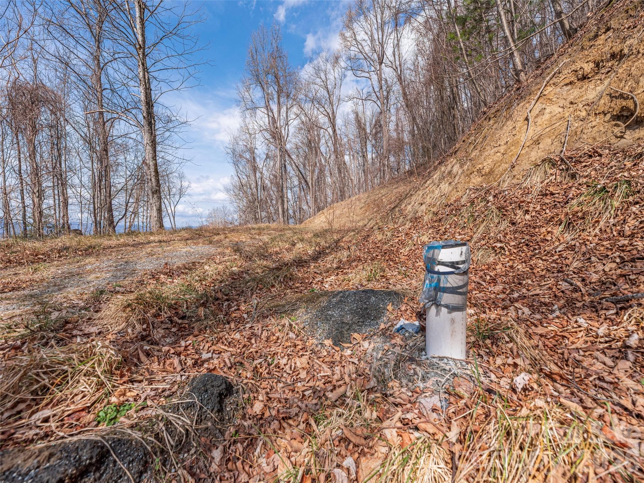 well, septic, and electric in place - 399 Goodson Spring Road, Waynesville