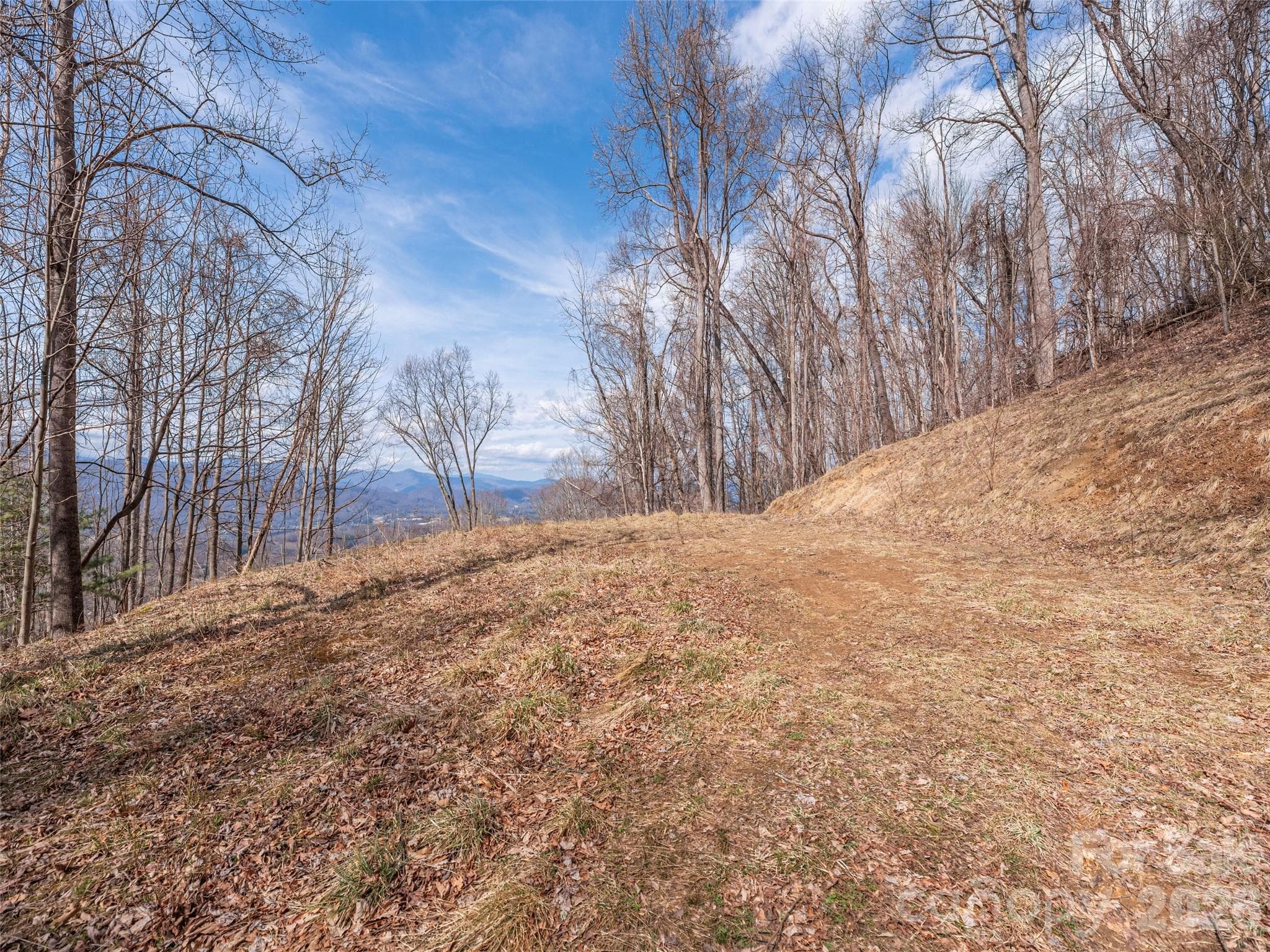 Acreage at 399 Goodson Spring Road, Waynesville, photo 12 of 29