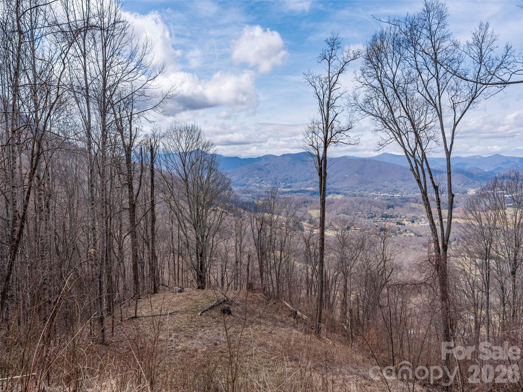 Acreage at 399 Goodson Spring Road, Waynesville, photo 8 of 29