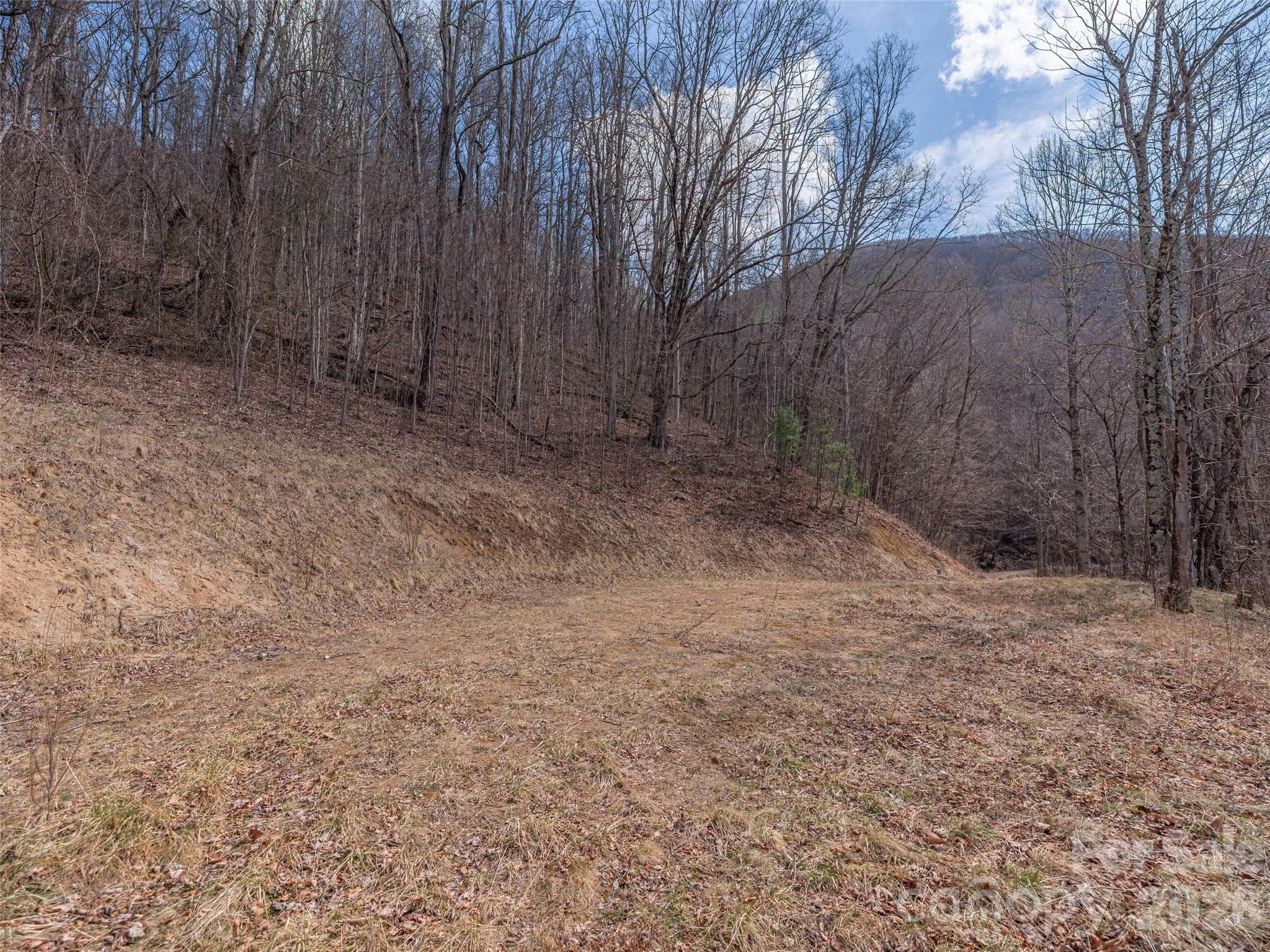 Acreage at 399 Goodson Spring Road, Waynesville, photo 17 of 29
