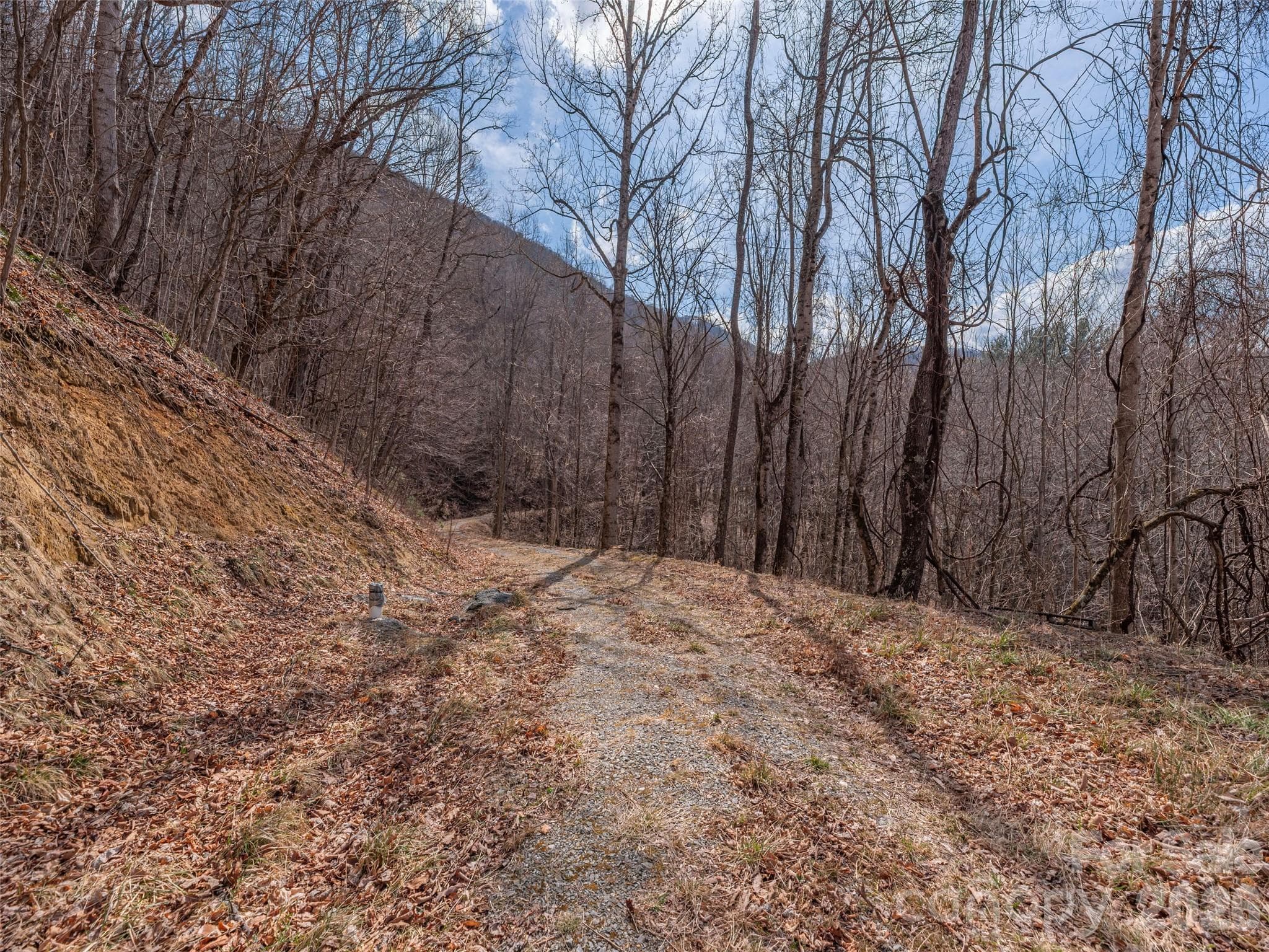 Acreage at 399 Goodson Spring Road, Waynesville, photo 18 of 29
