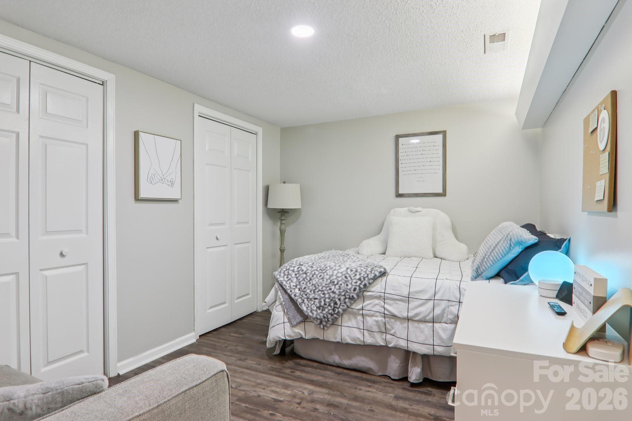 Basement Flex Room - Hendersonville