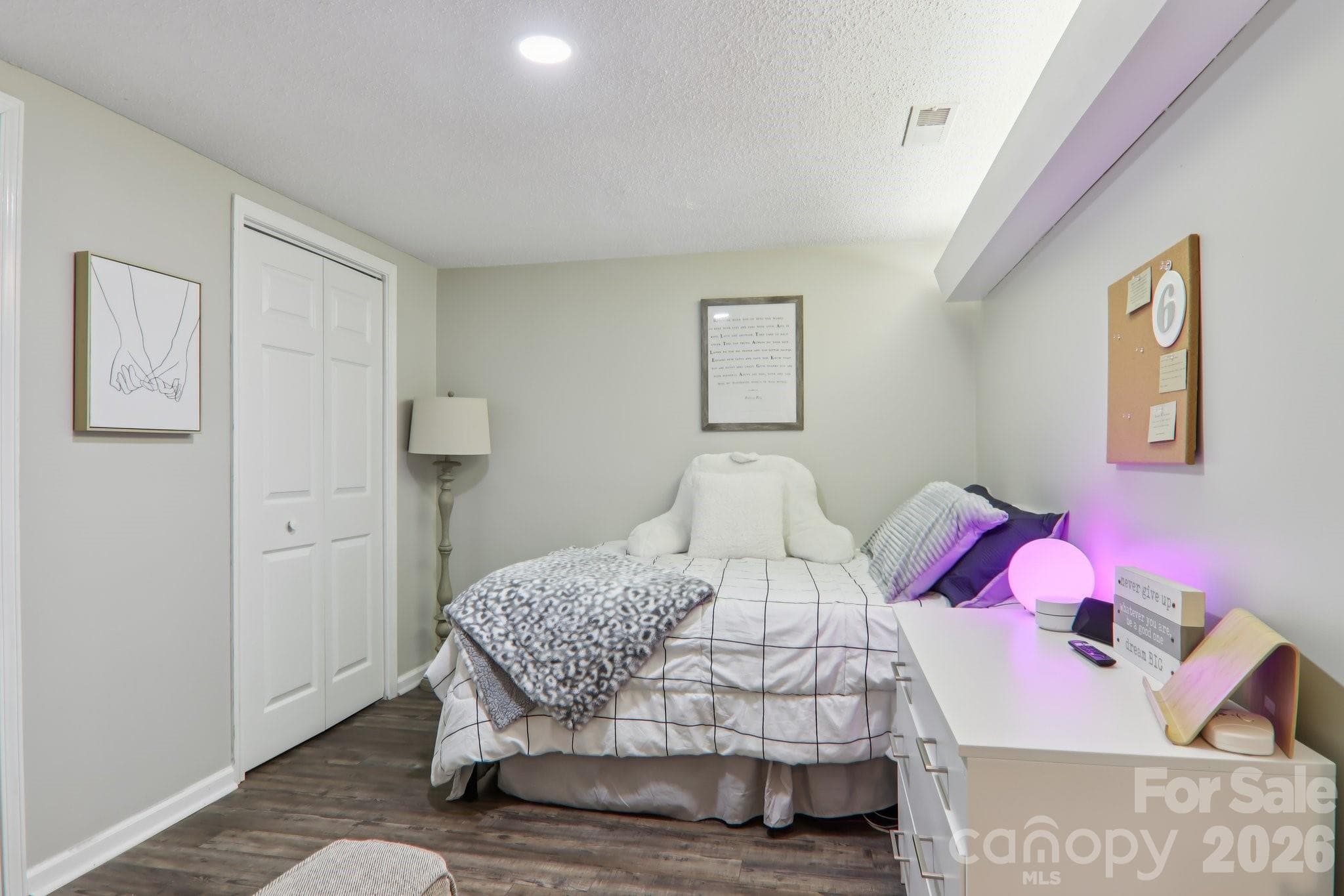 Basement Flex Room - Hendersonville