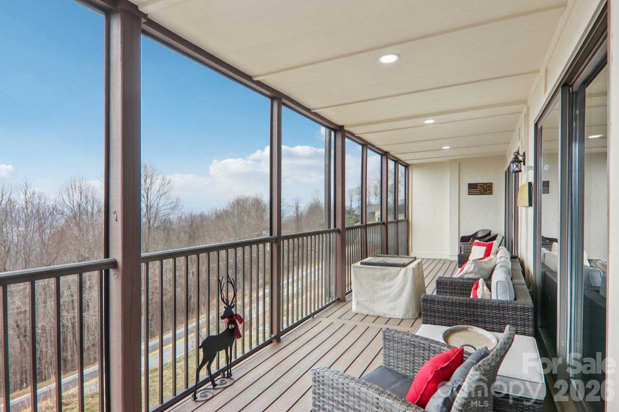 Long range views from screened in porch - Hendersonville