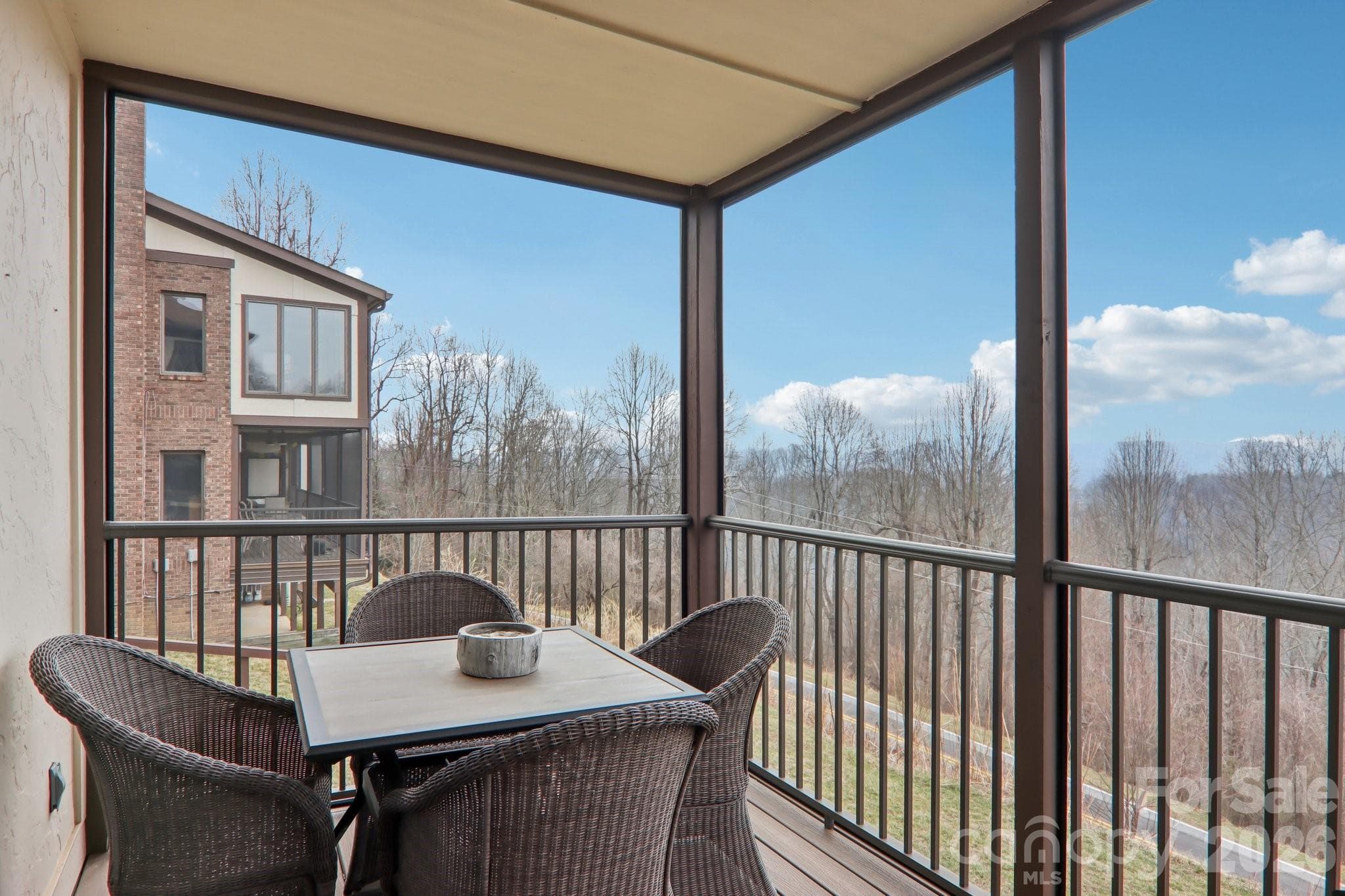 Long range views from screened in porch - Hendersonville